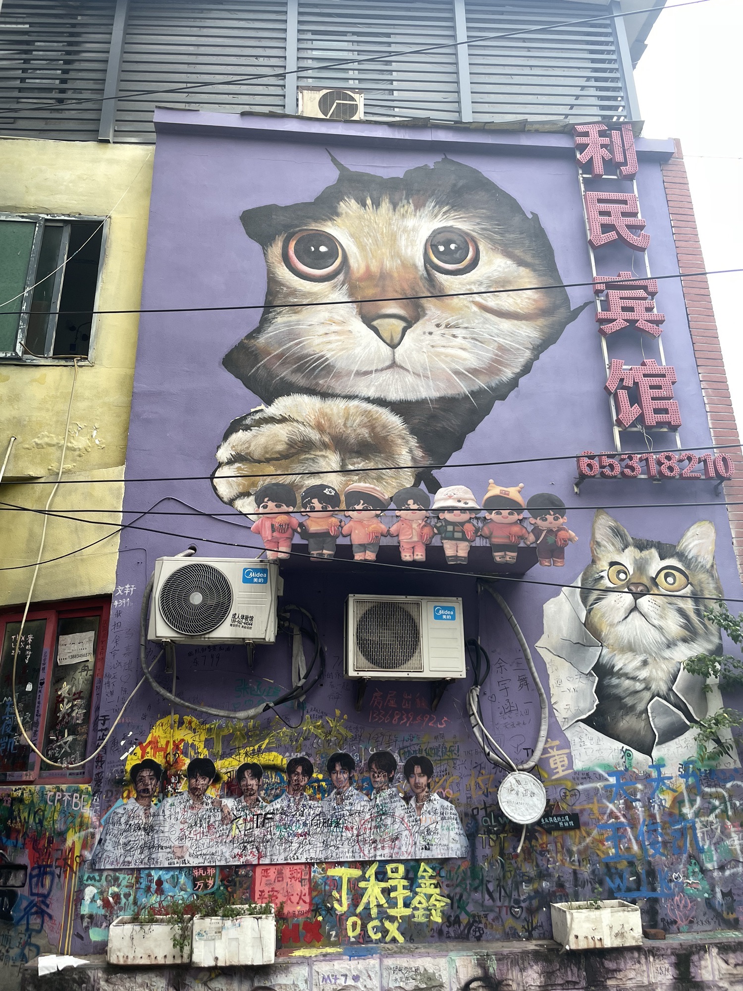 七彩巷旅行图片 2