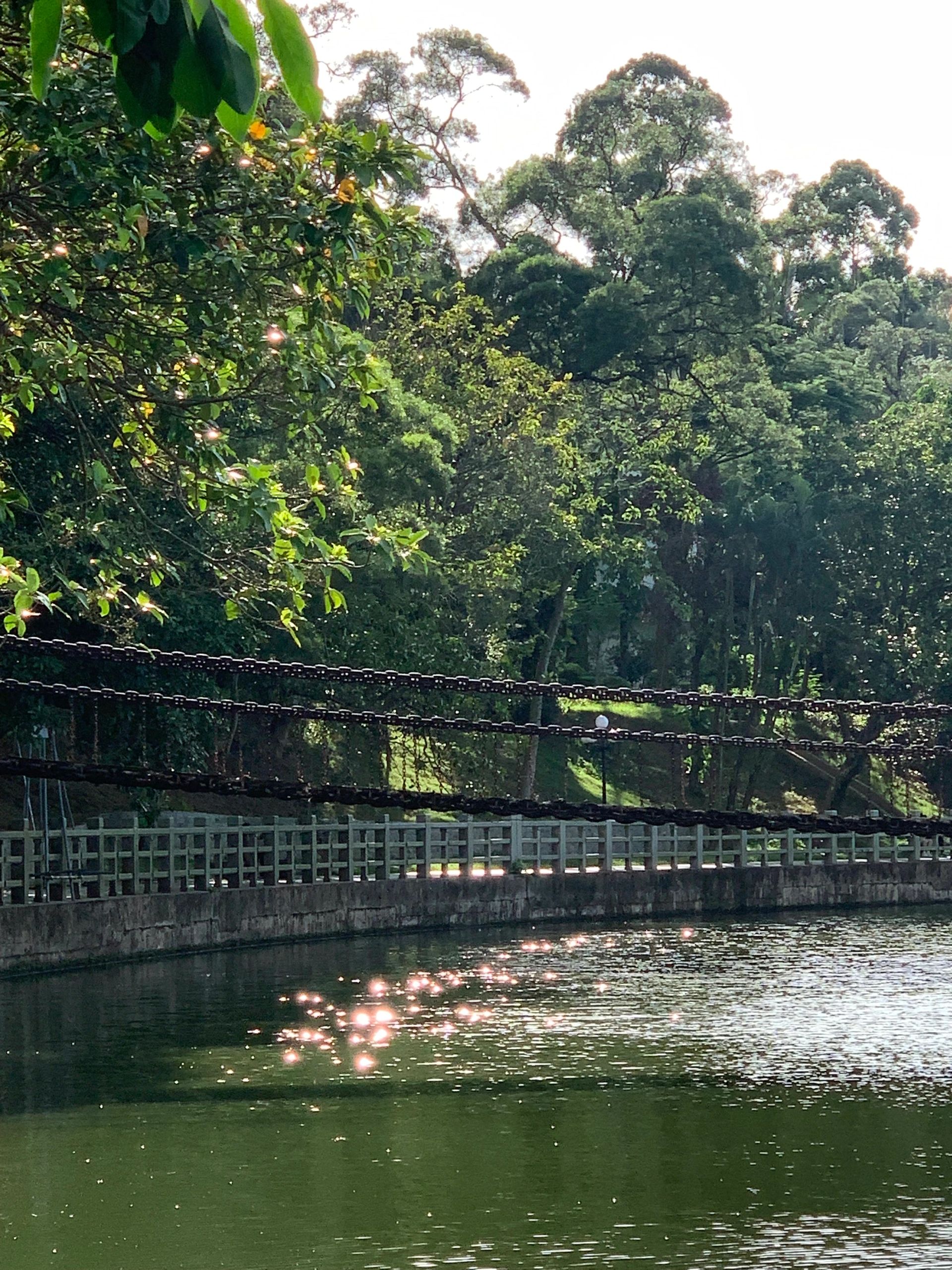 石子湖公园旅行图片