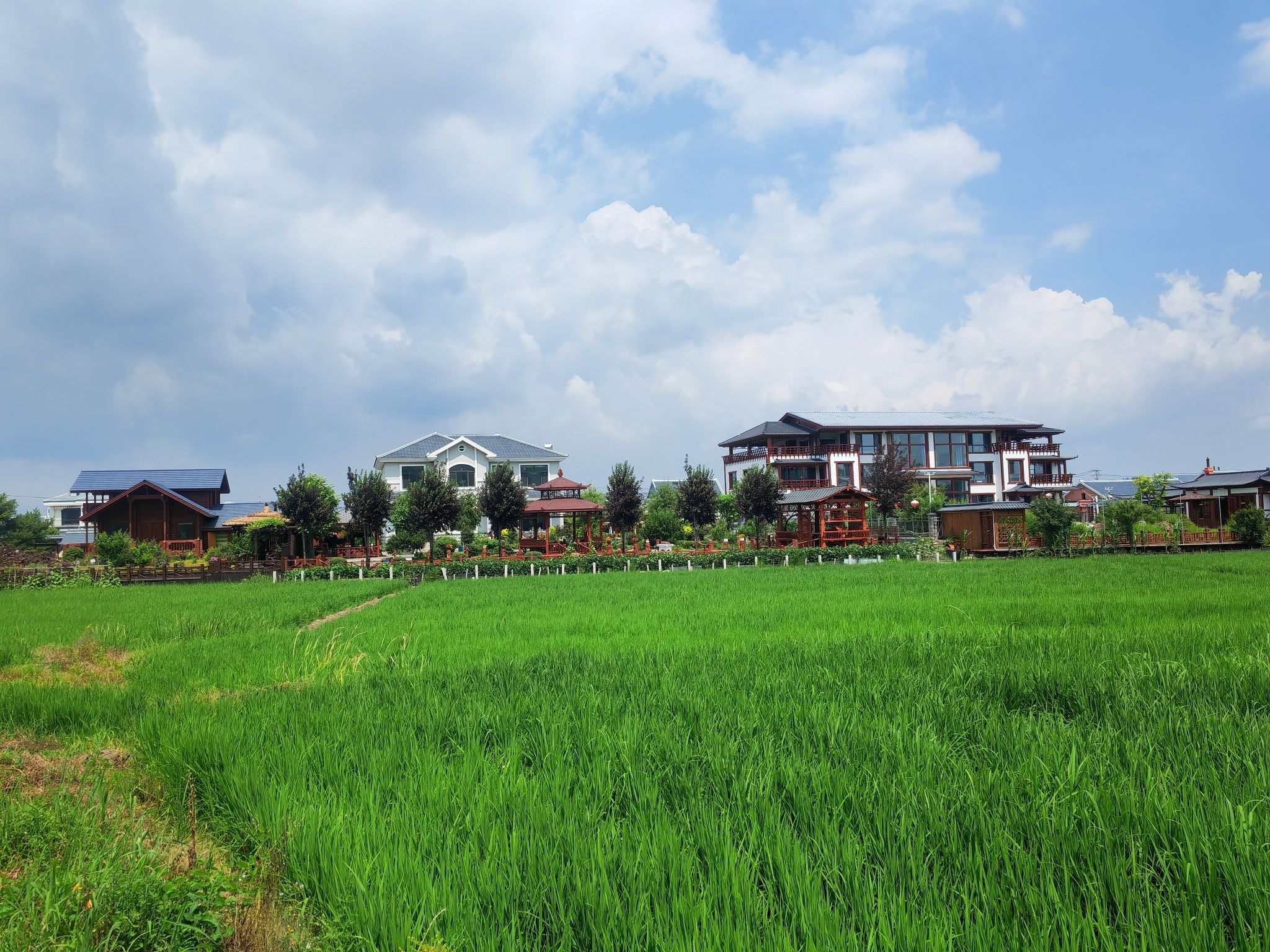 中兴村文化广场旅行图片 2