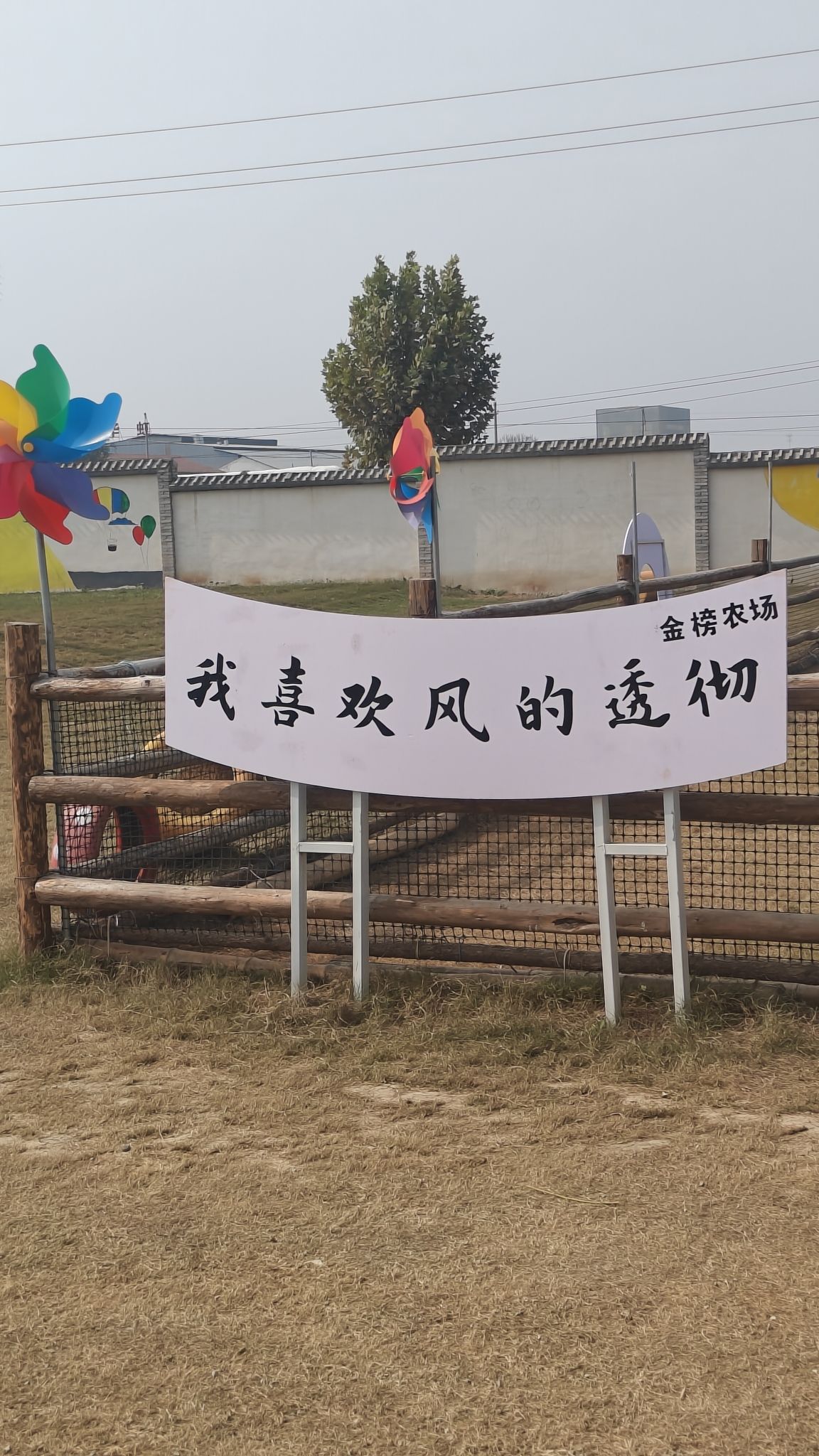 状元小镇旅行图片 2