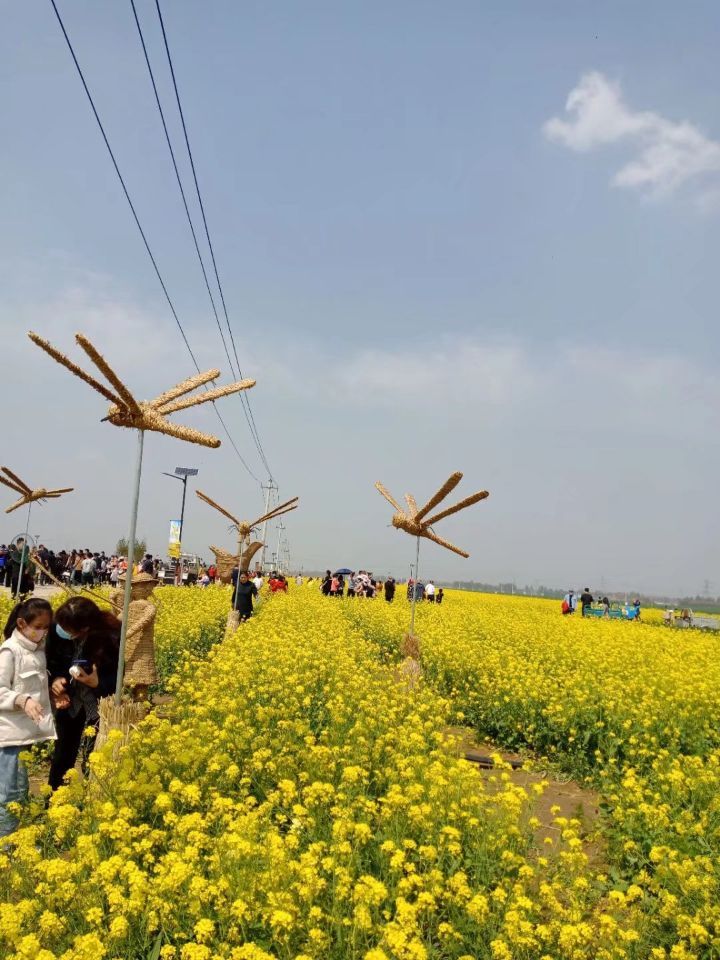平陵古城城墙遗址旅行图片 2