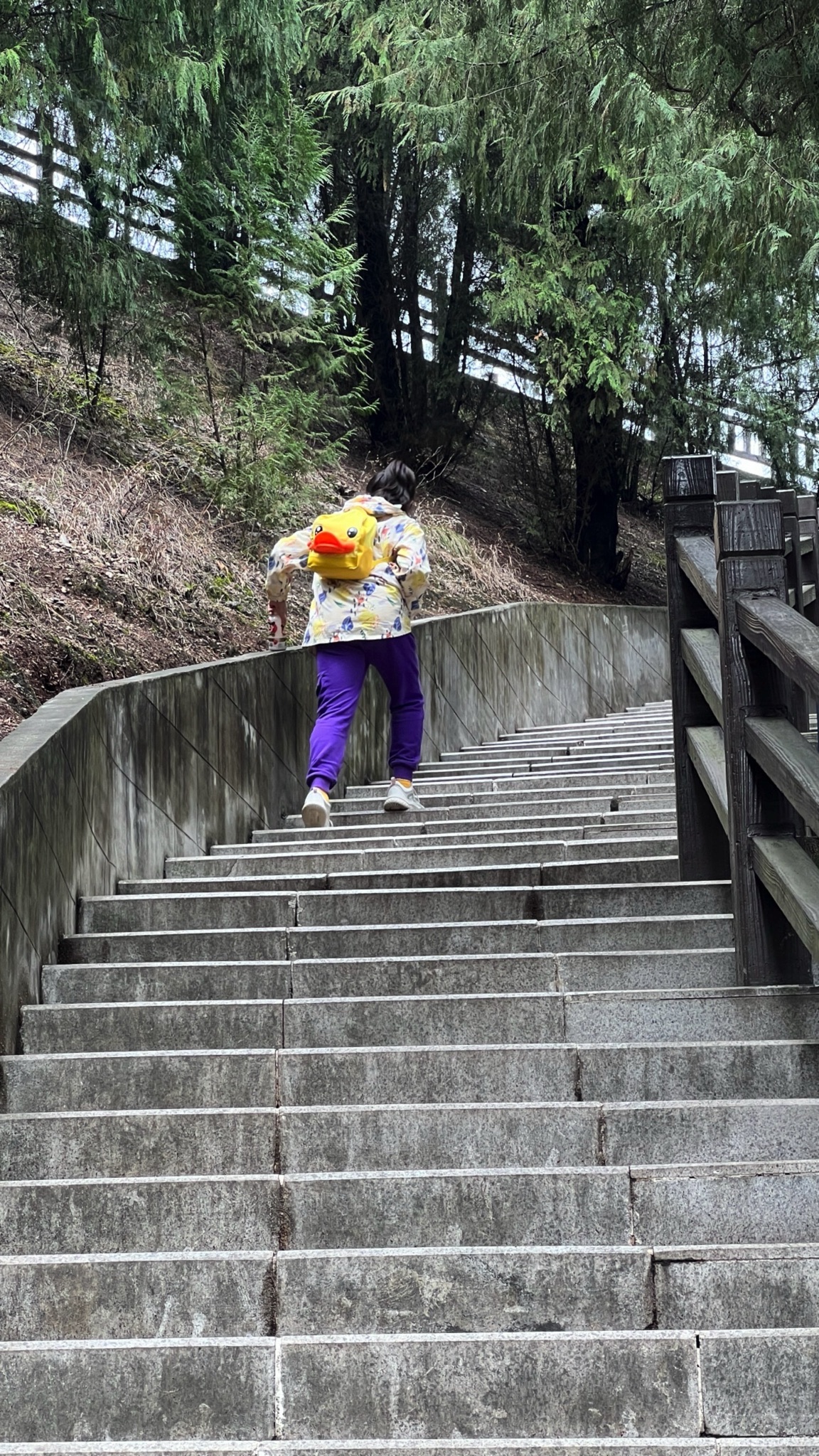 牛头山观景区旅行图片 2