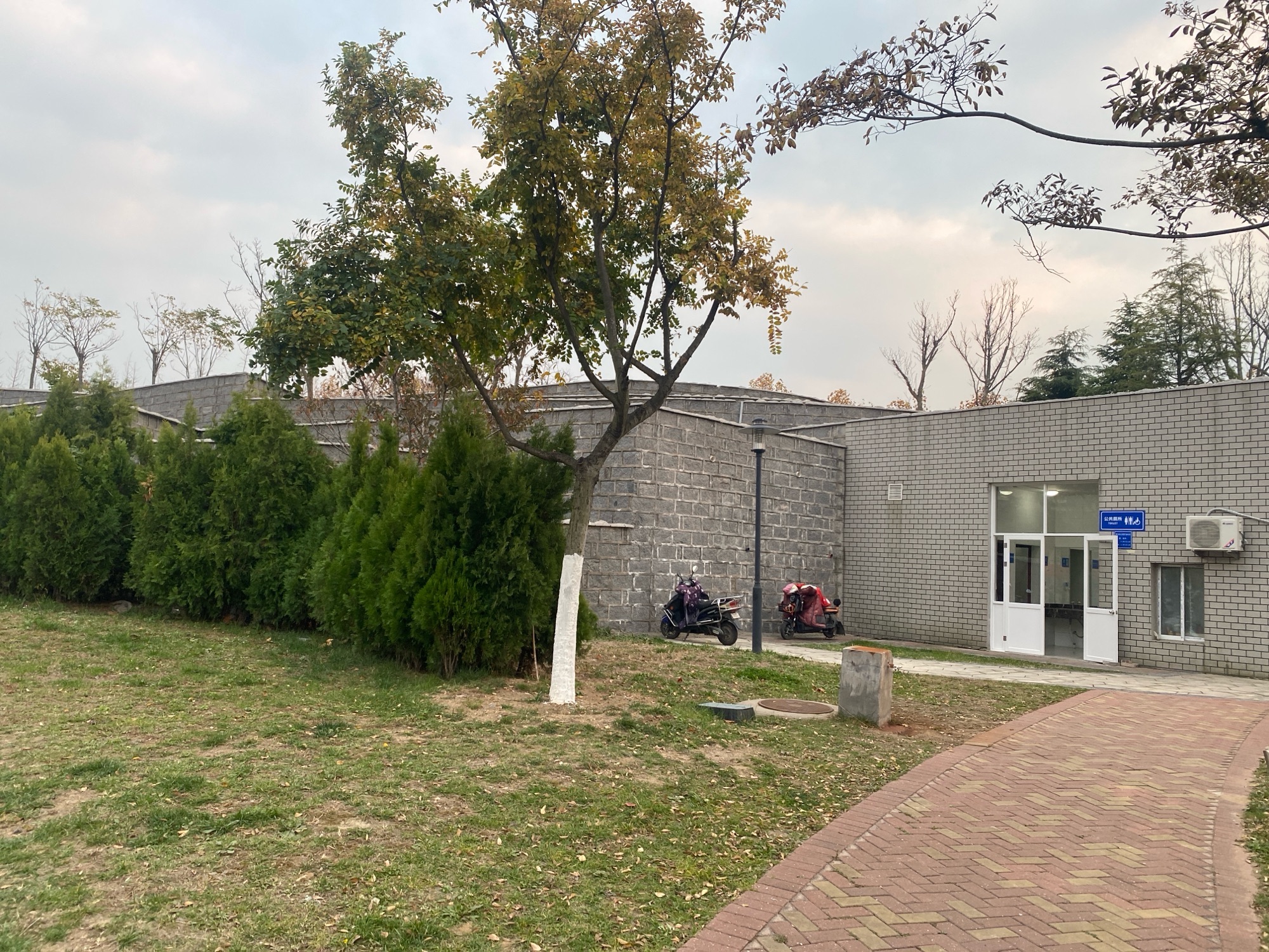 西海岸地铁公园旅行图片 3