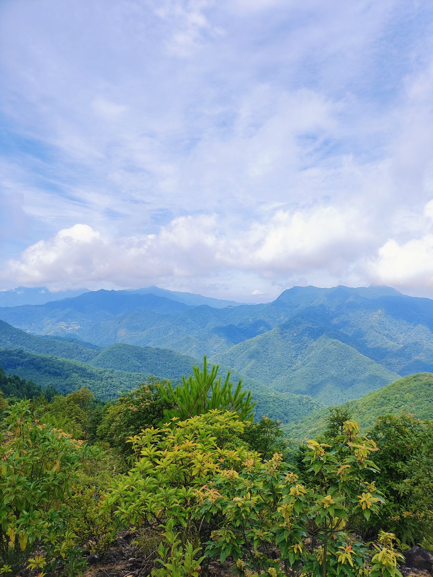 漳平梅龙山森林公园旅行图片 2