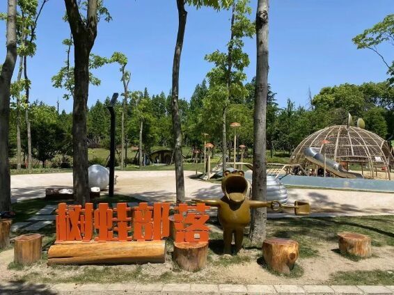 漳平梅龙山森林公园旅行图片 2