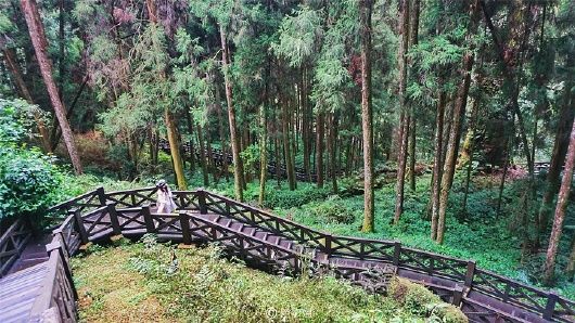 漳平梅龙山森林公园旅行图片 3