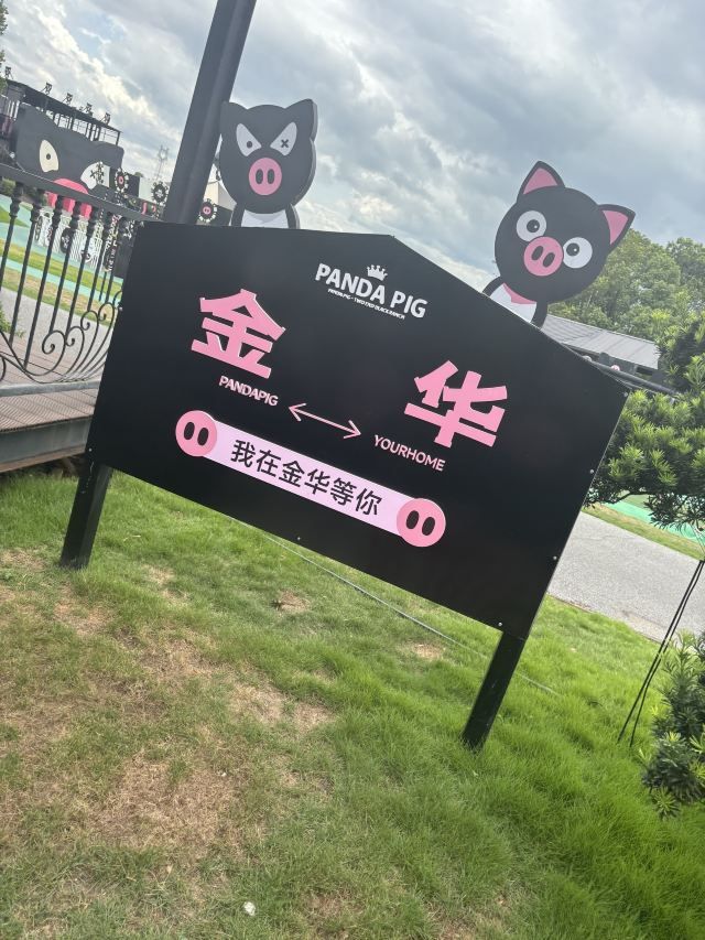熊猫猪猪两头乌国际牧场旅行图片 3