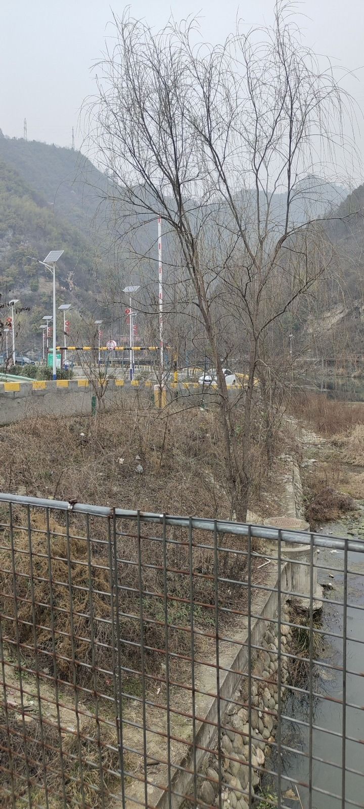 莲花寨景区旅行图片