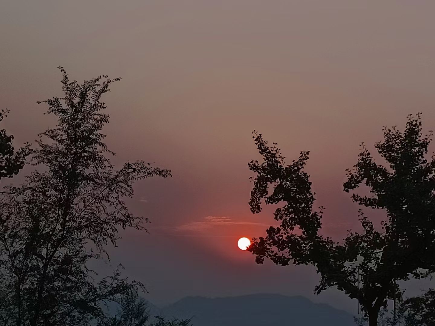 新天地观江台旅行图片 2