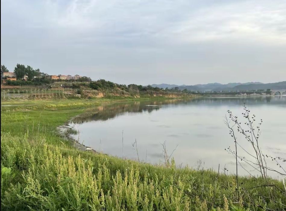 湖北郧阳湖国家湿地公园旅行图片 2