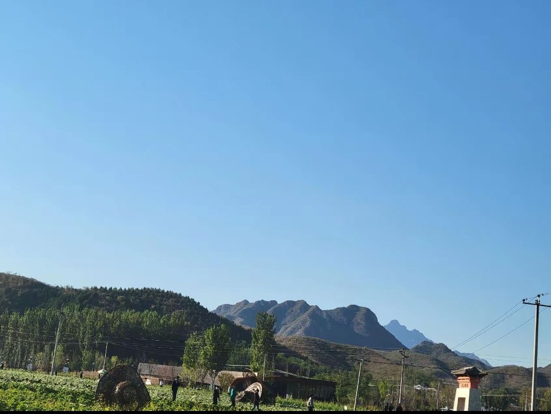 折纸公园旅行图片 3