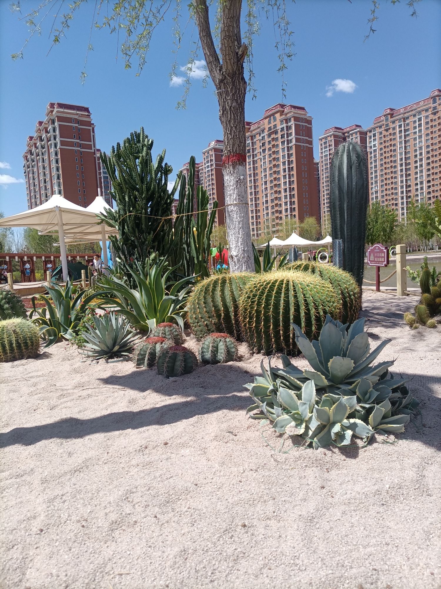 水岸新城中心公园旅行图片 1