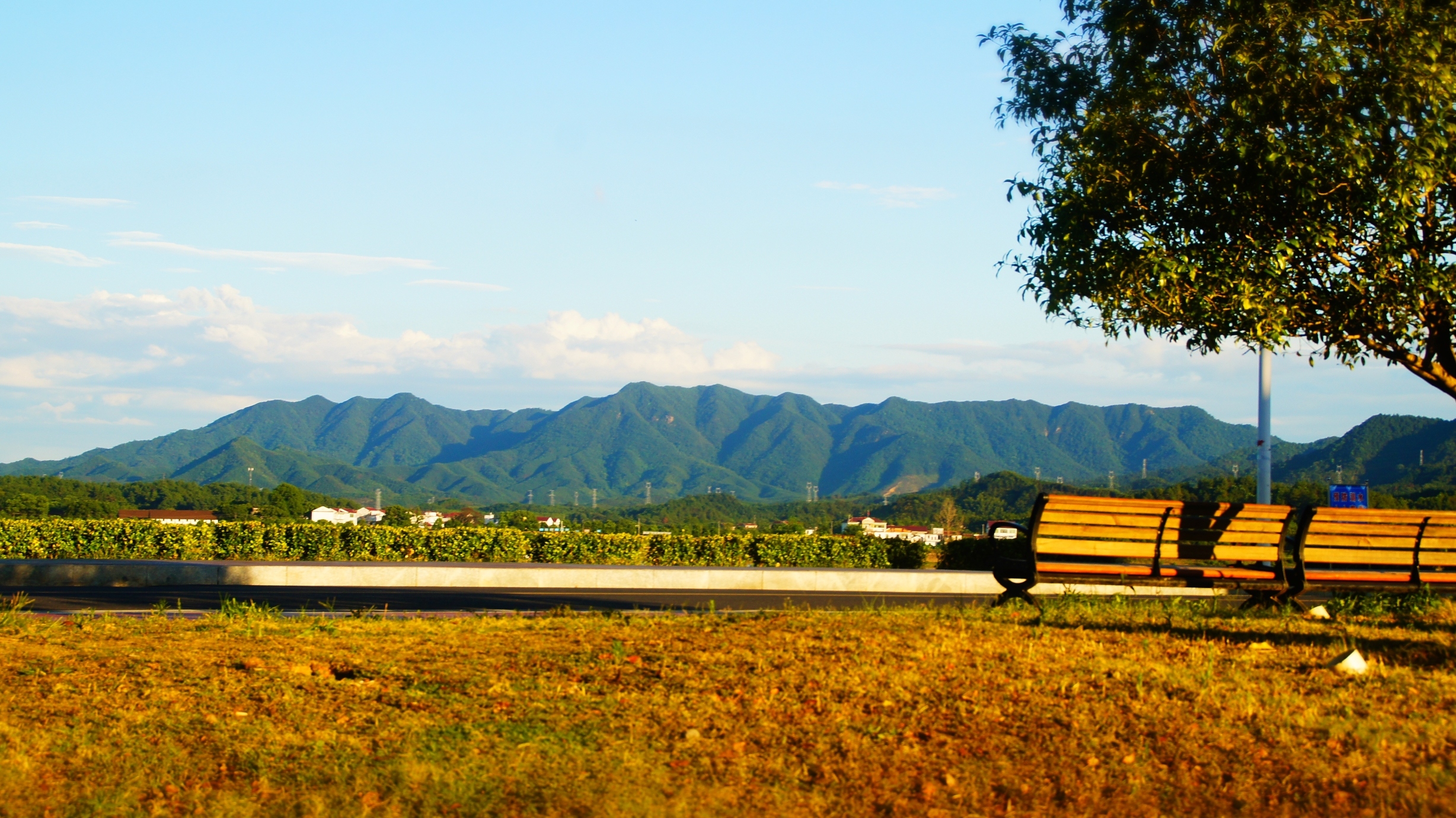 峡江沿江公园旅行图片 1