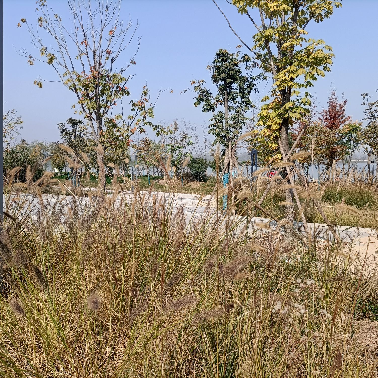 同心湖旅行图片 1