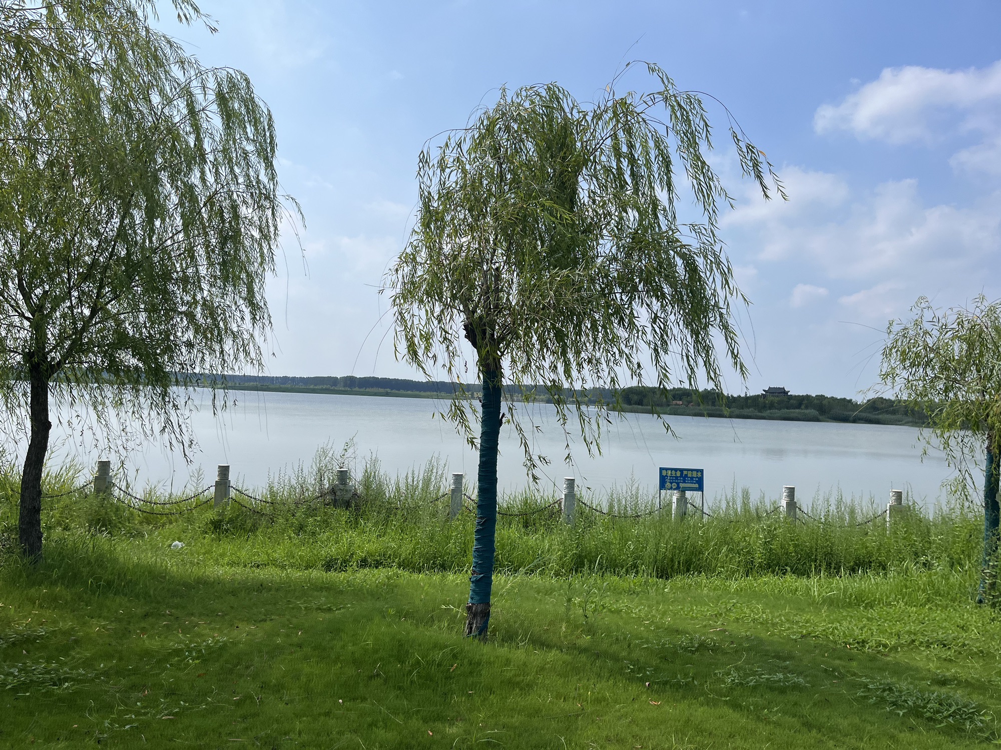 同心湖旅行图片 3