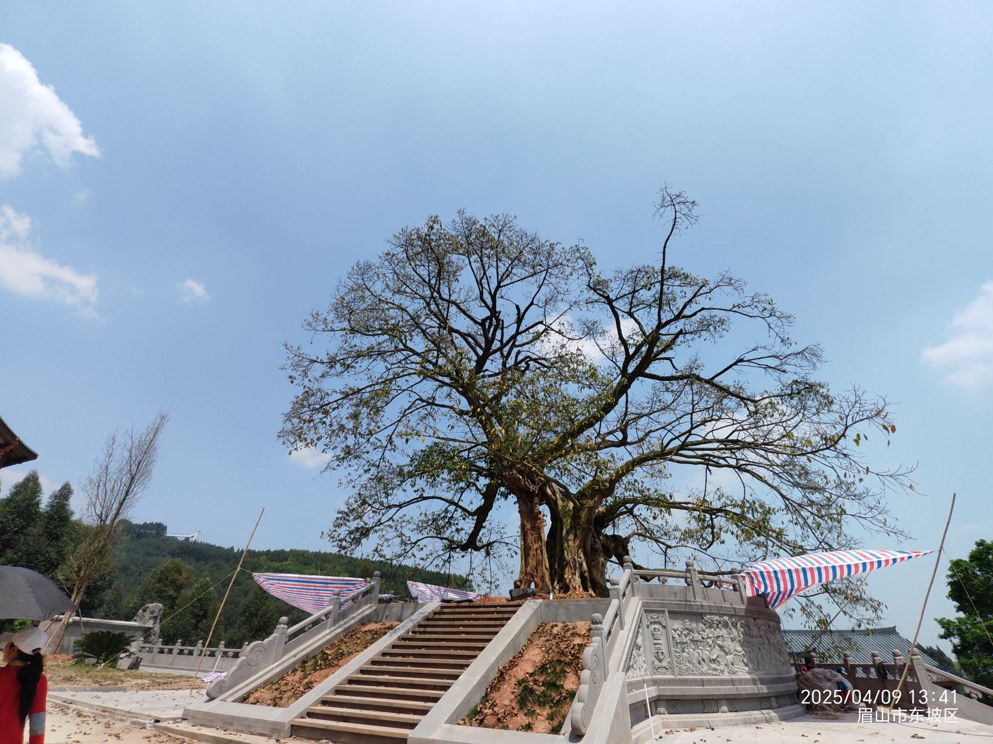 四川眉山市东坡区法宝寺实景照片