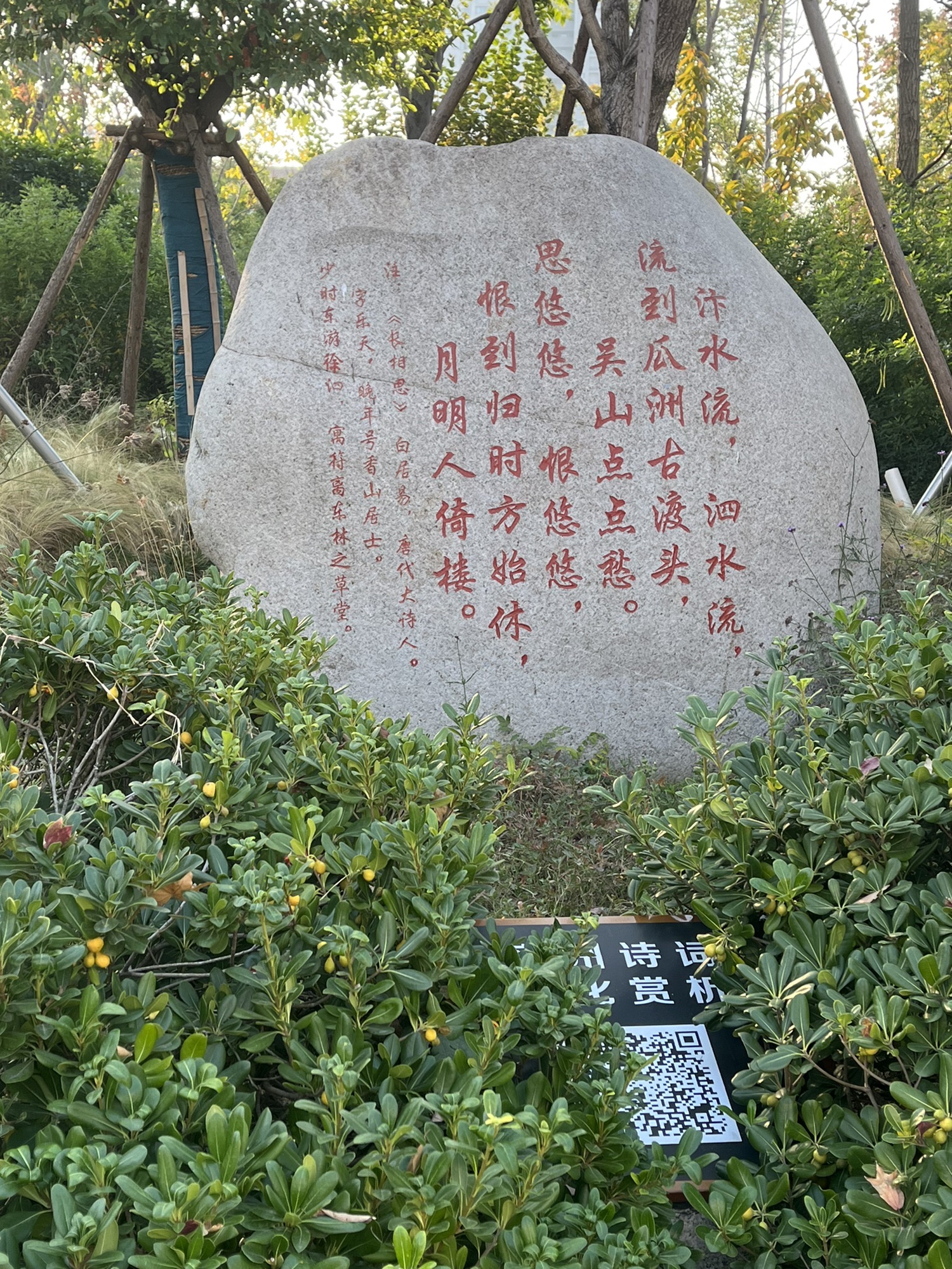 老二中广场旅行图片 3