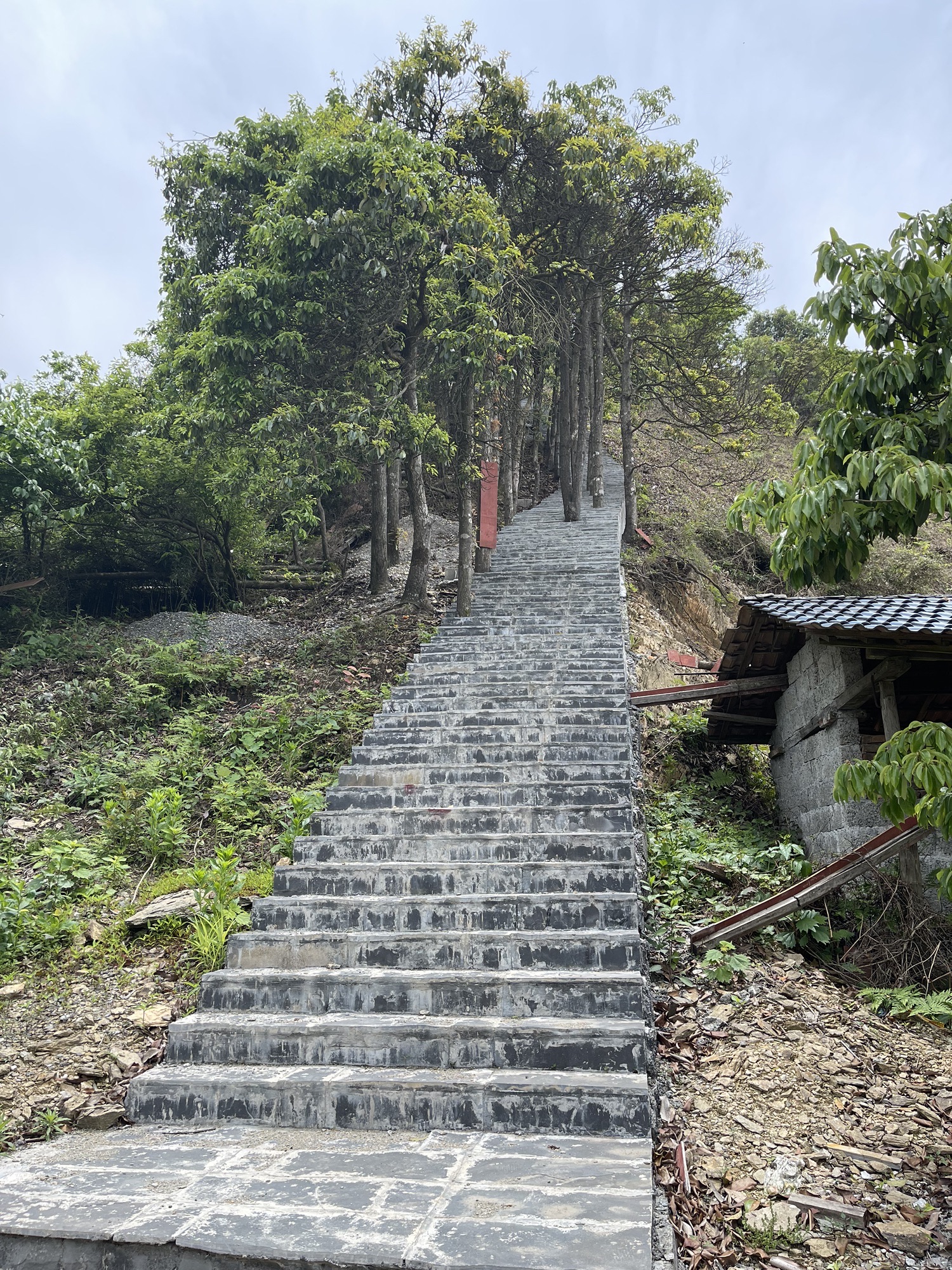 潇湘罗子山景区旅行图片 3