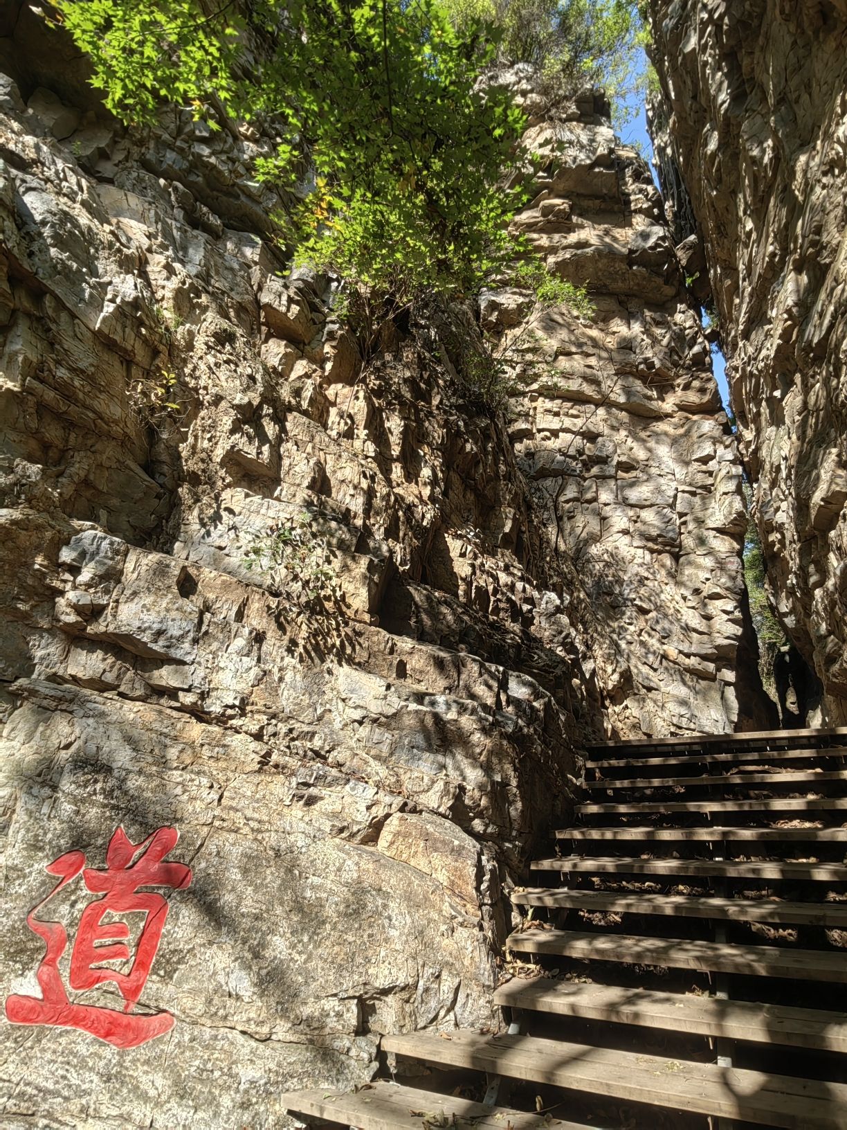 绿溪谷景区旅行图片 1