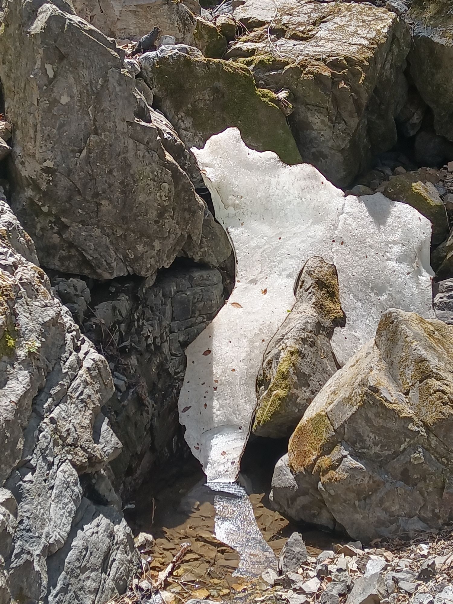 绿溪谷景区旅行图片 3