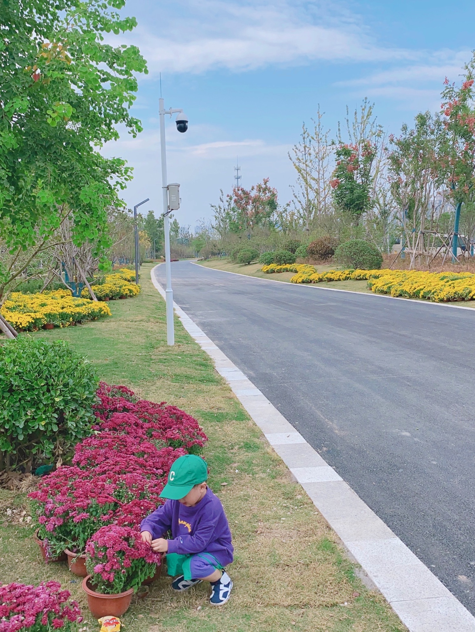 黄河故道文化公园旅行图片 2