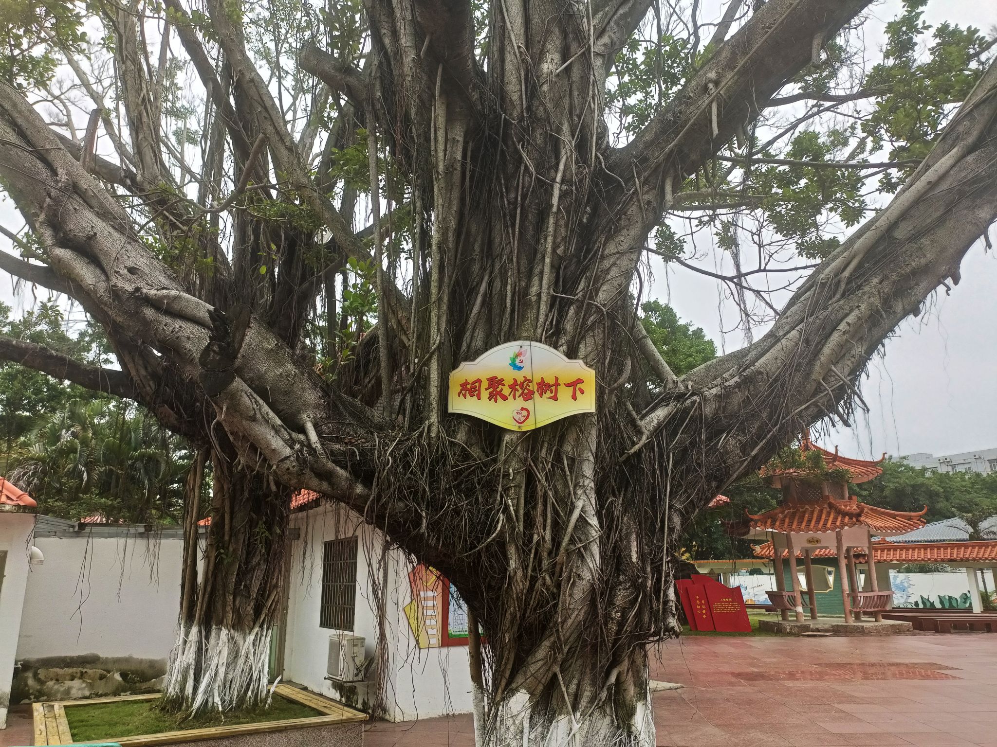 立新社区初心园旅行图片 2