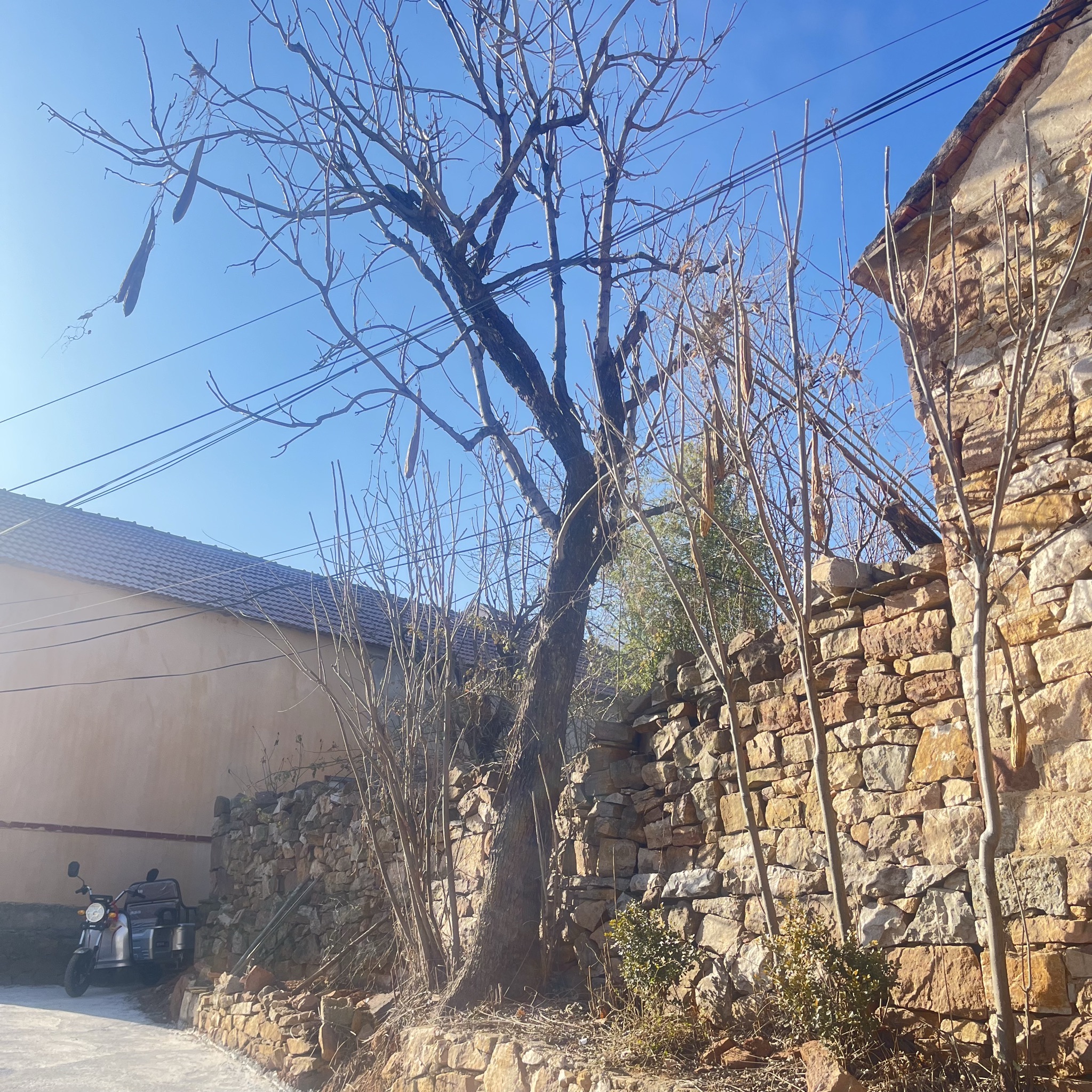朱家坪村泉乡旅游区旅行图片 1