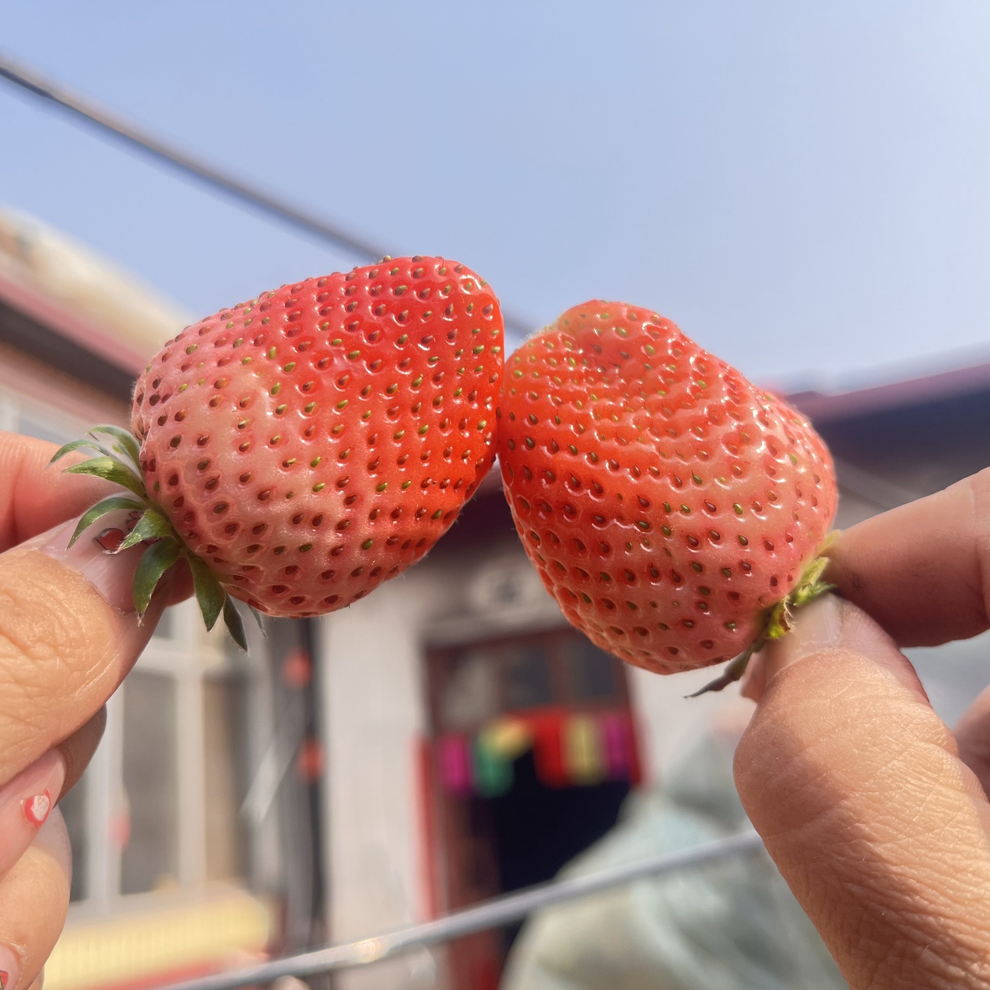 朱家坪村泉乡旅游区旅行图片 1
