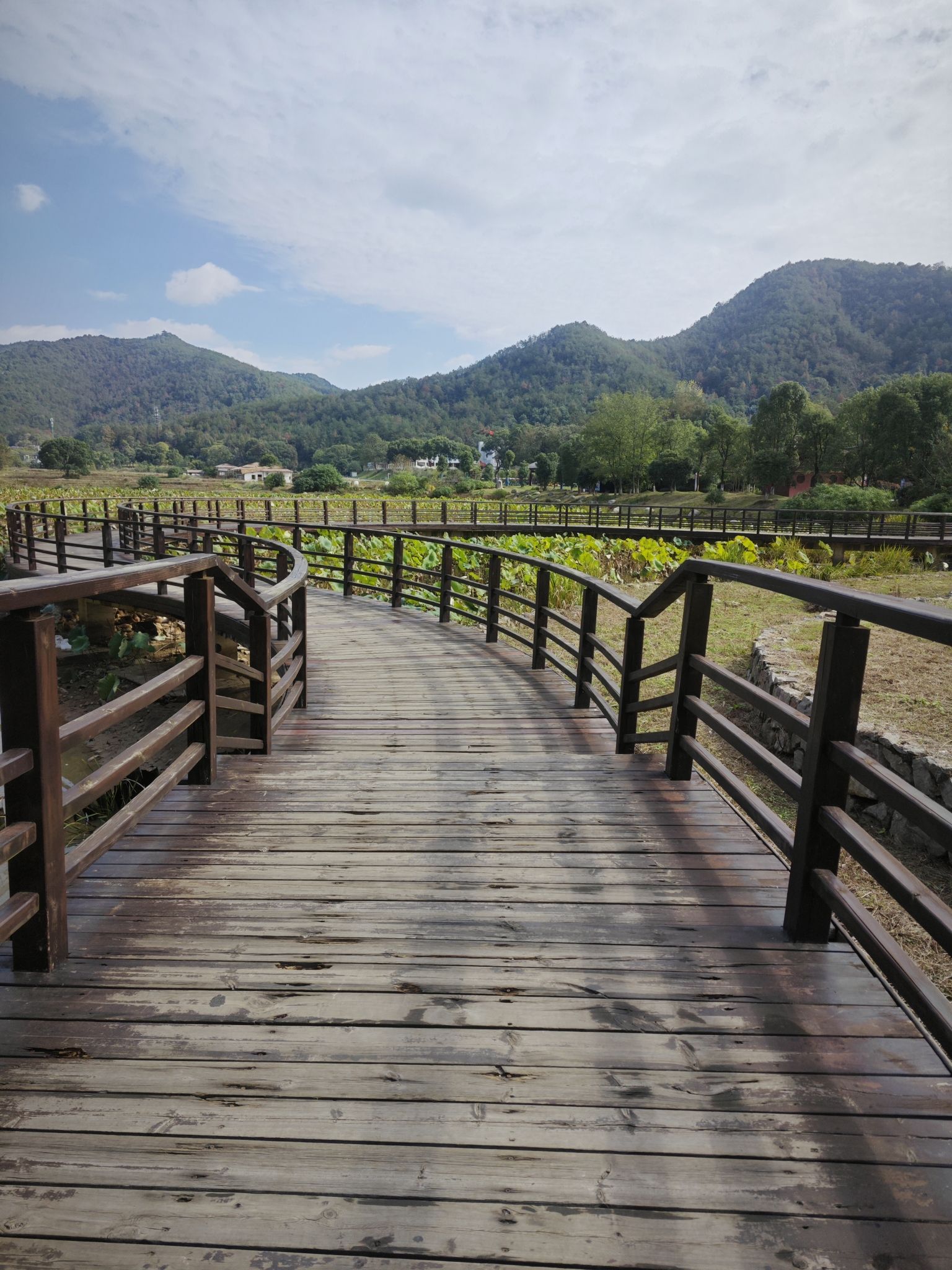 青原区国家森林公园旅行图片 1