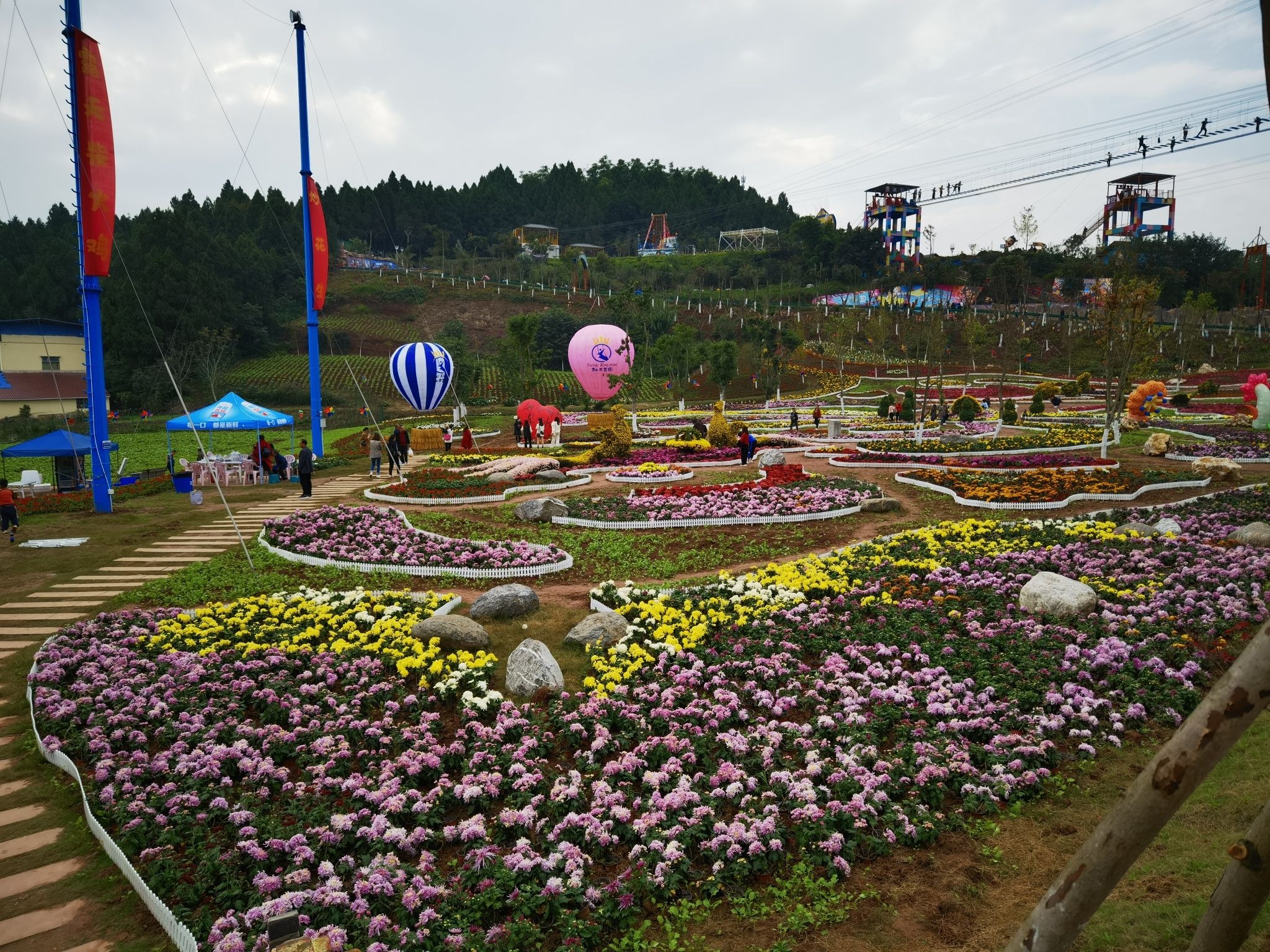 乐至秋千王国旅行图片 1