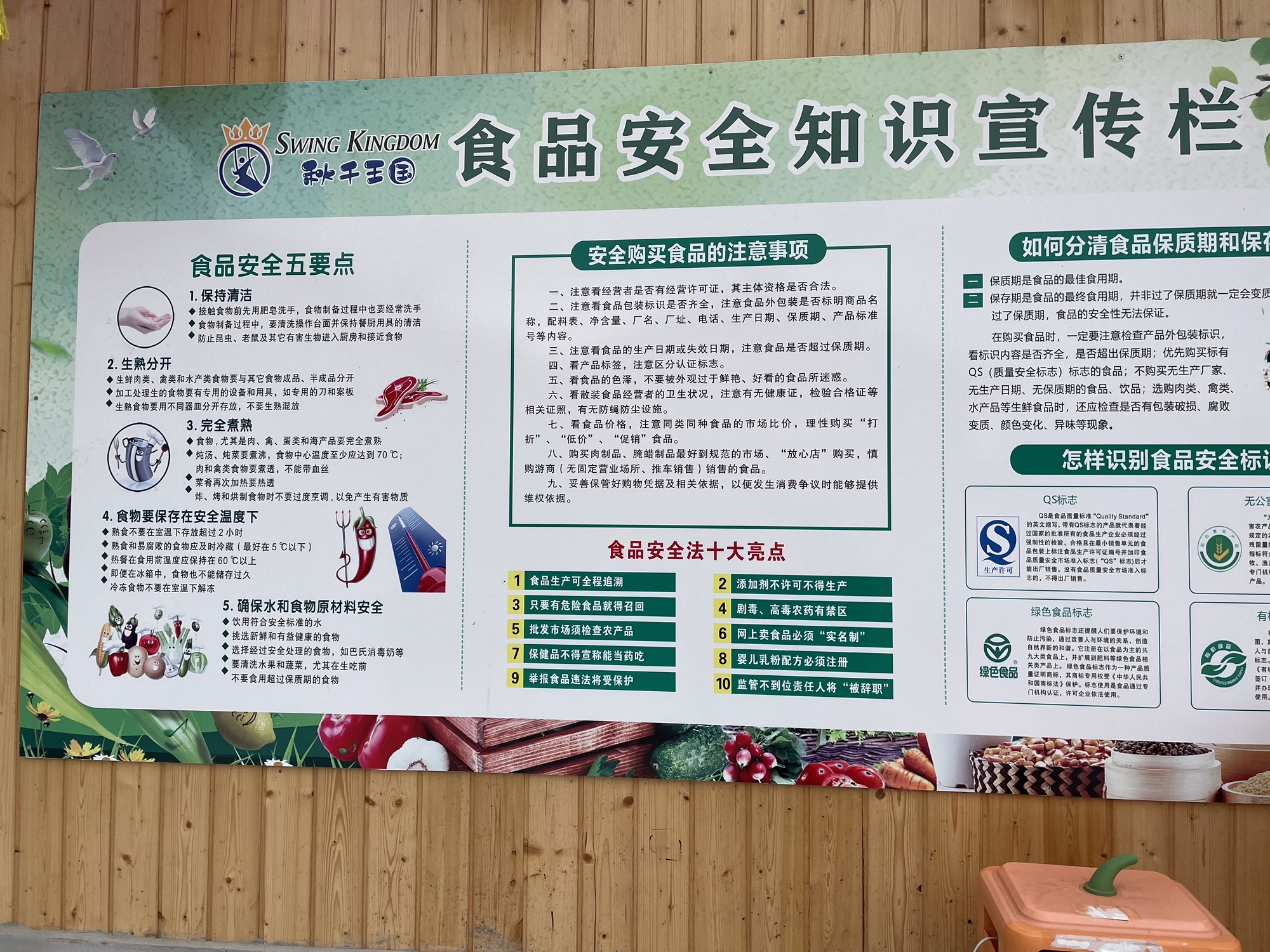 乐至秋千王国旅行图片 3