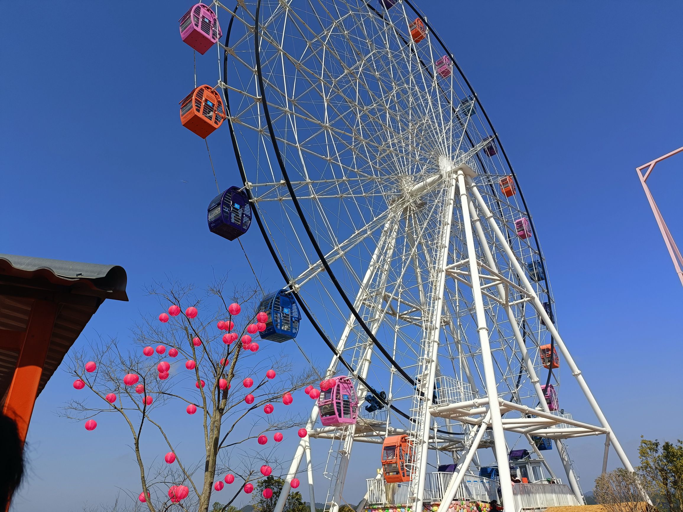 乐至秋千王国旅行图片 3