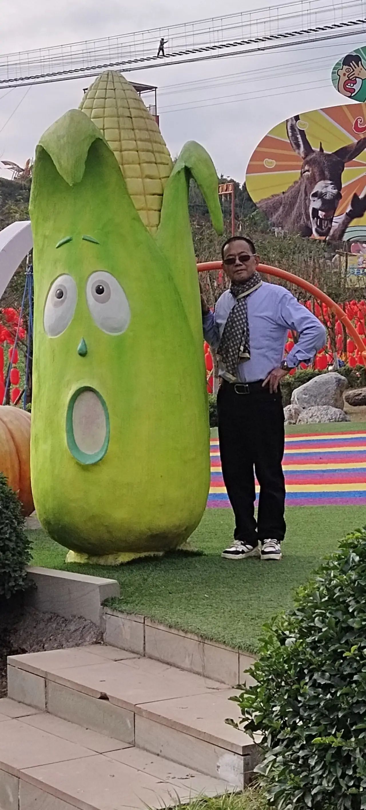 乐至秋千王国旅行图片 3