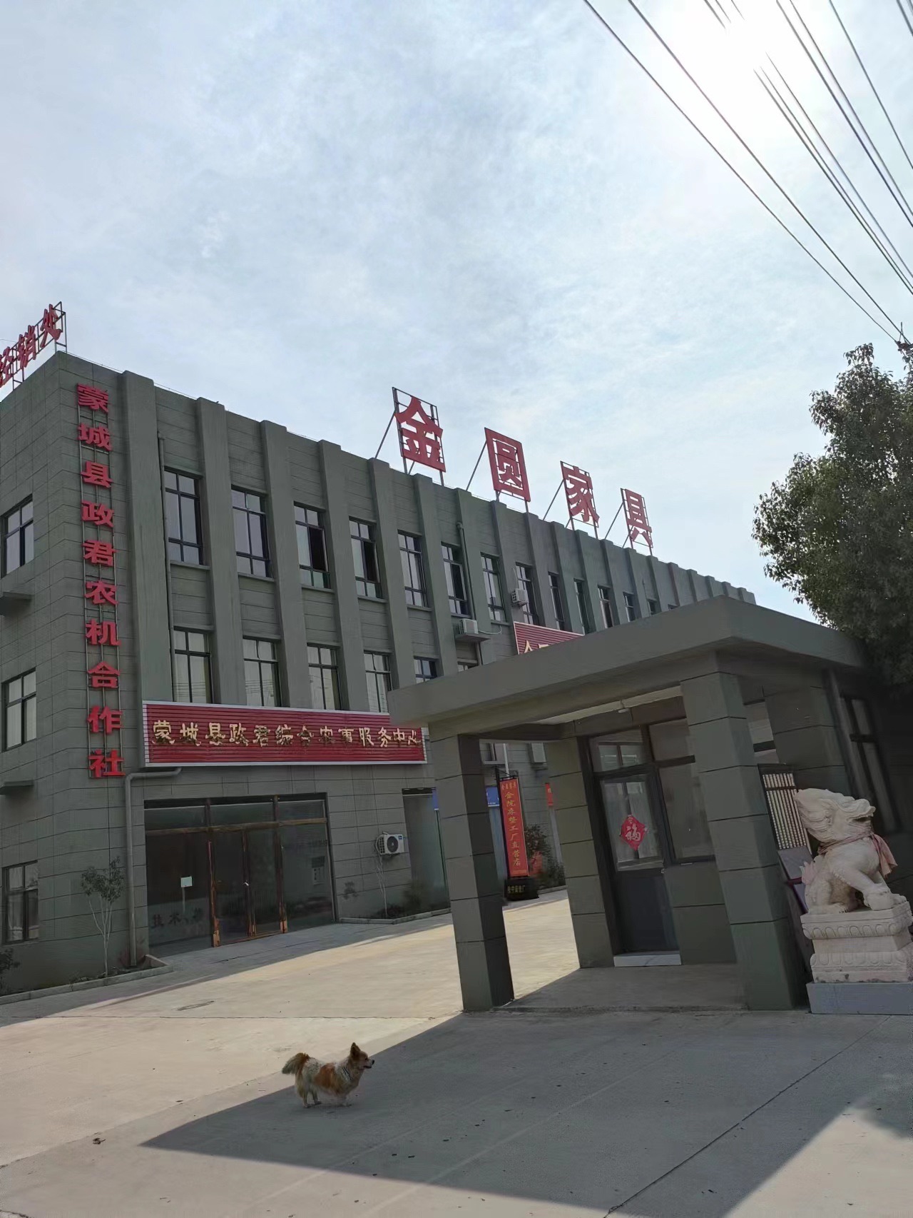 安徽金圆家具有限公司