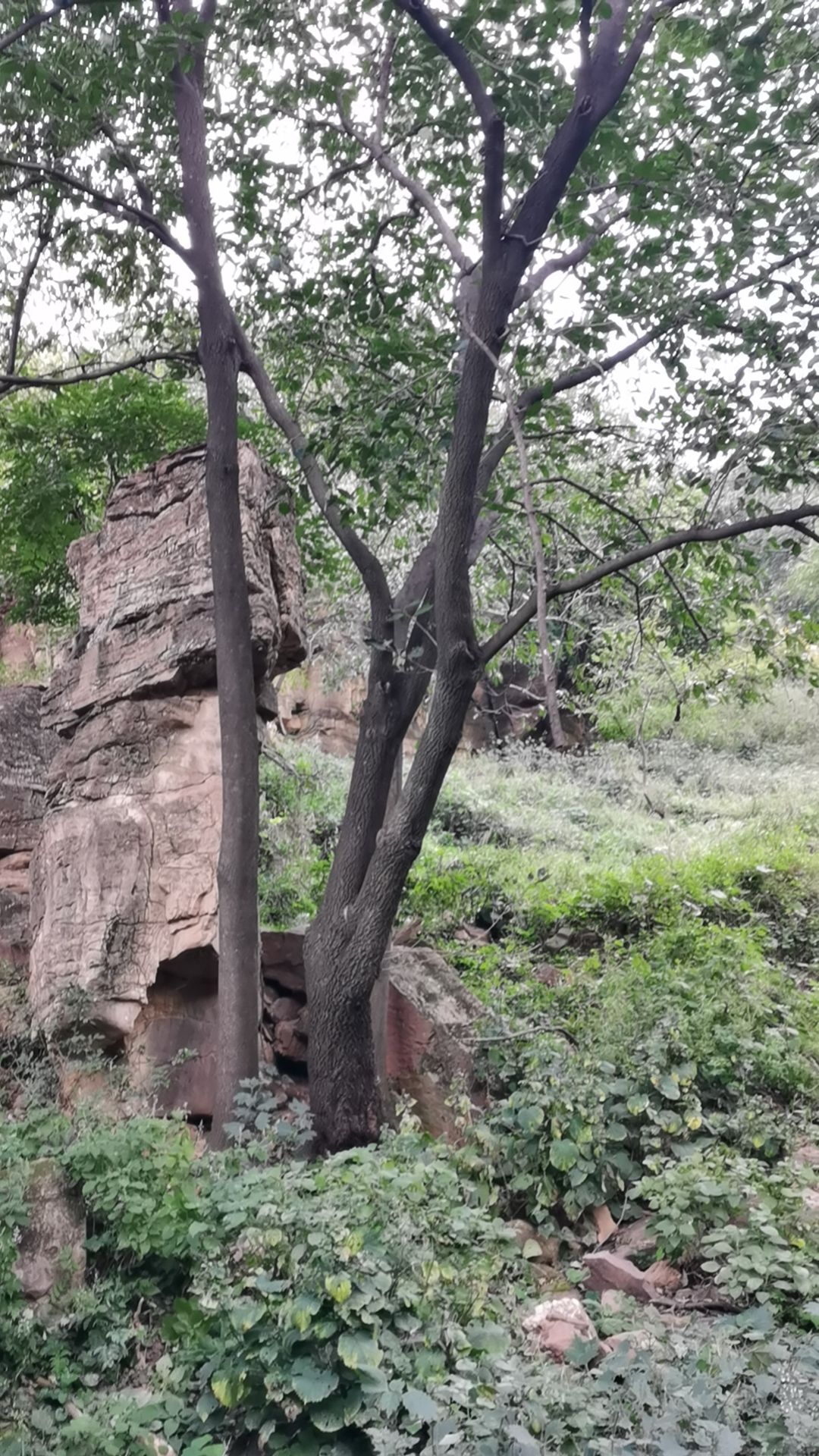 摞摞石溶洞旅行图片 1