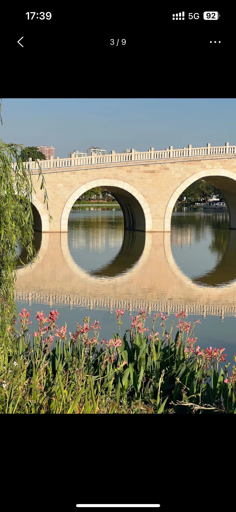 南山水岸-生态公园旅行图片 3