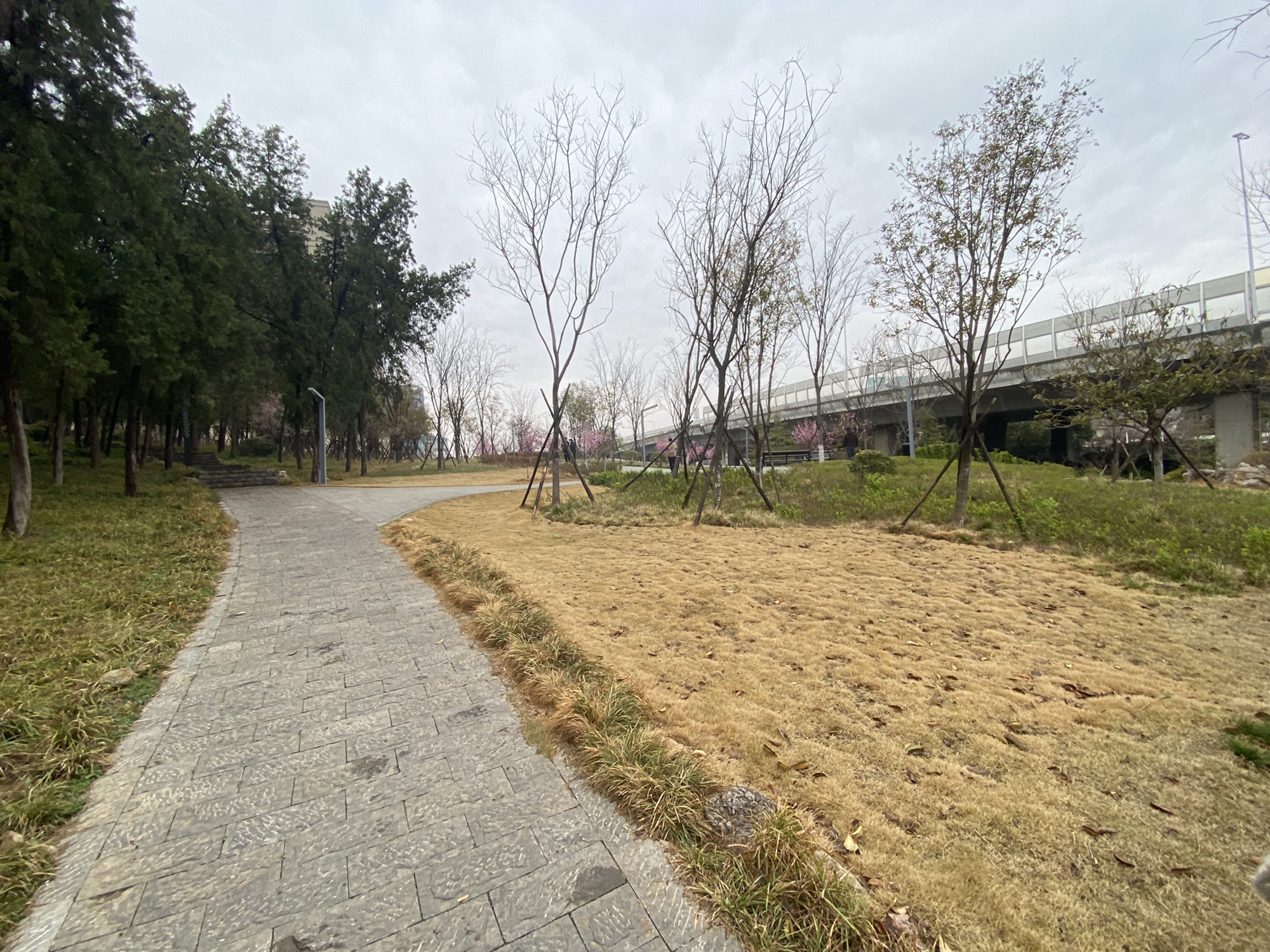 黄山公园旅行图片 3