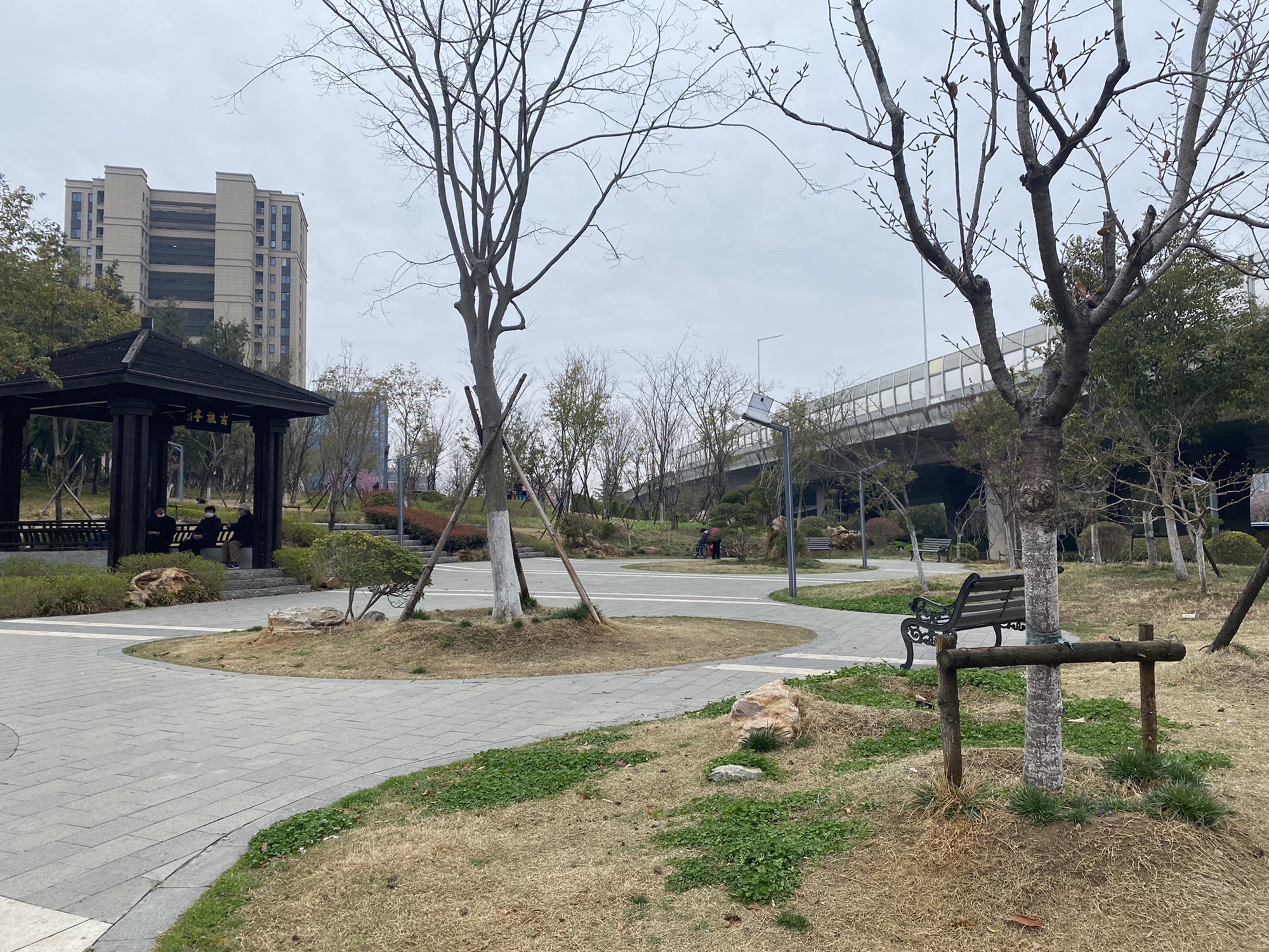 黄山公园旅行图片 2