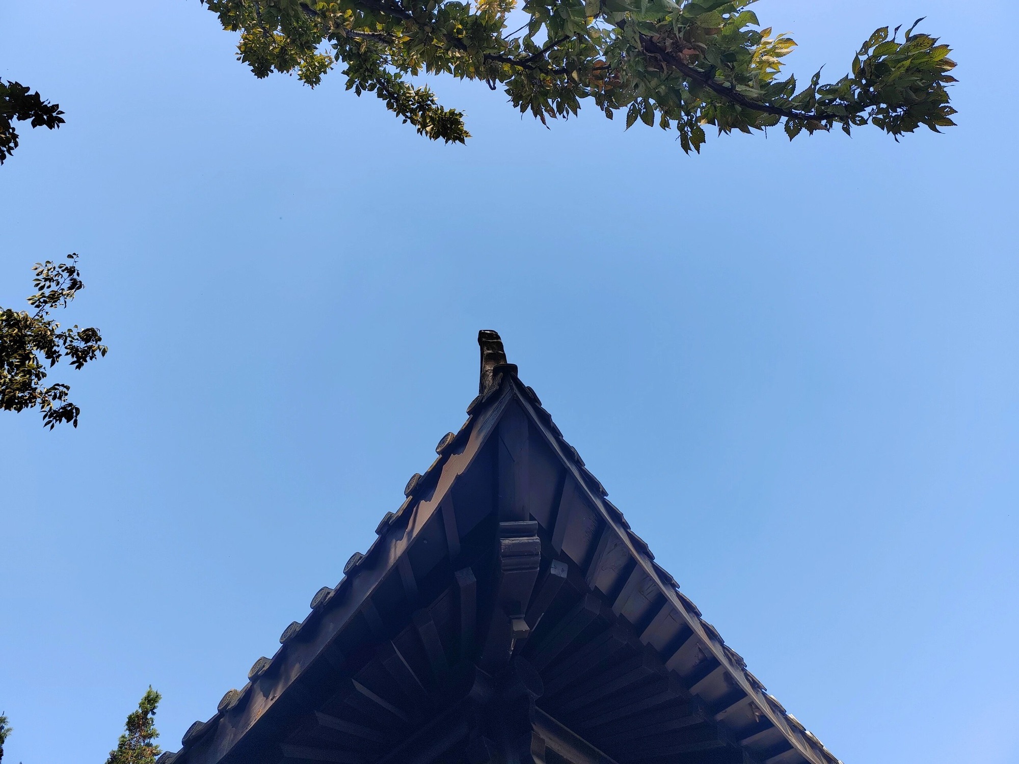 黄山公园旅行图片 1