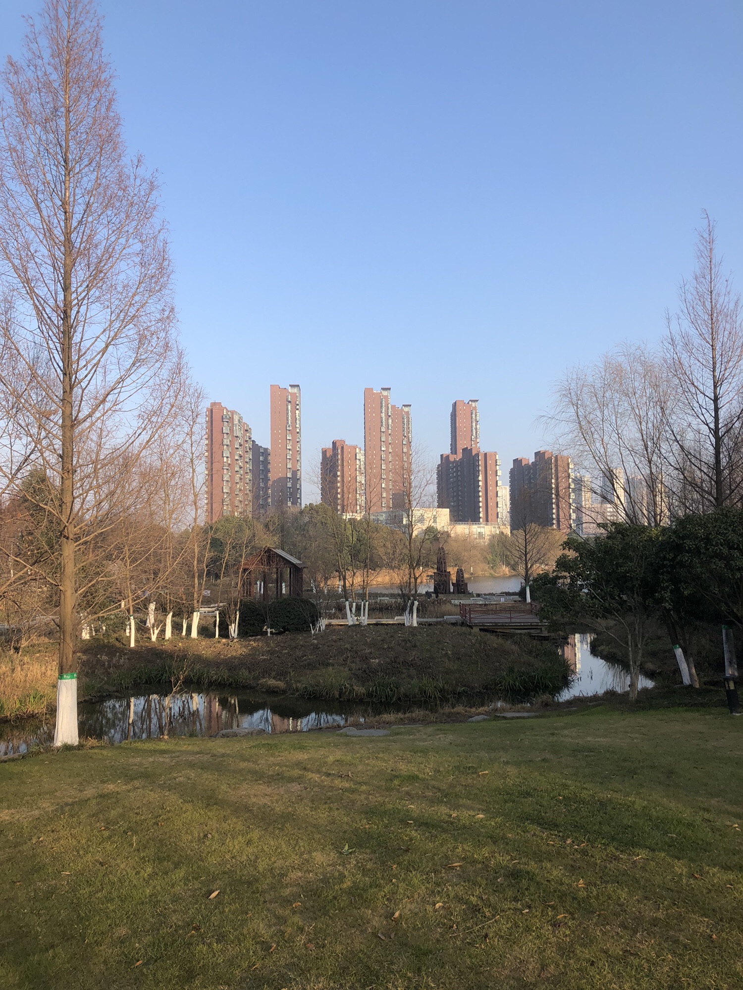 四里河滨水湿地公园旅行图片 3