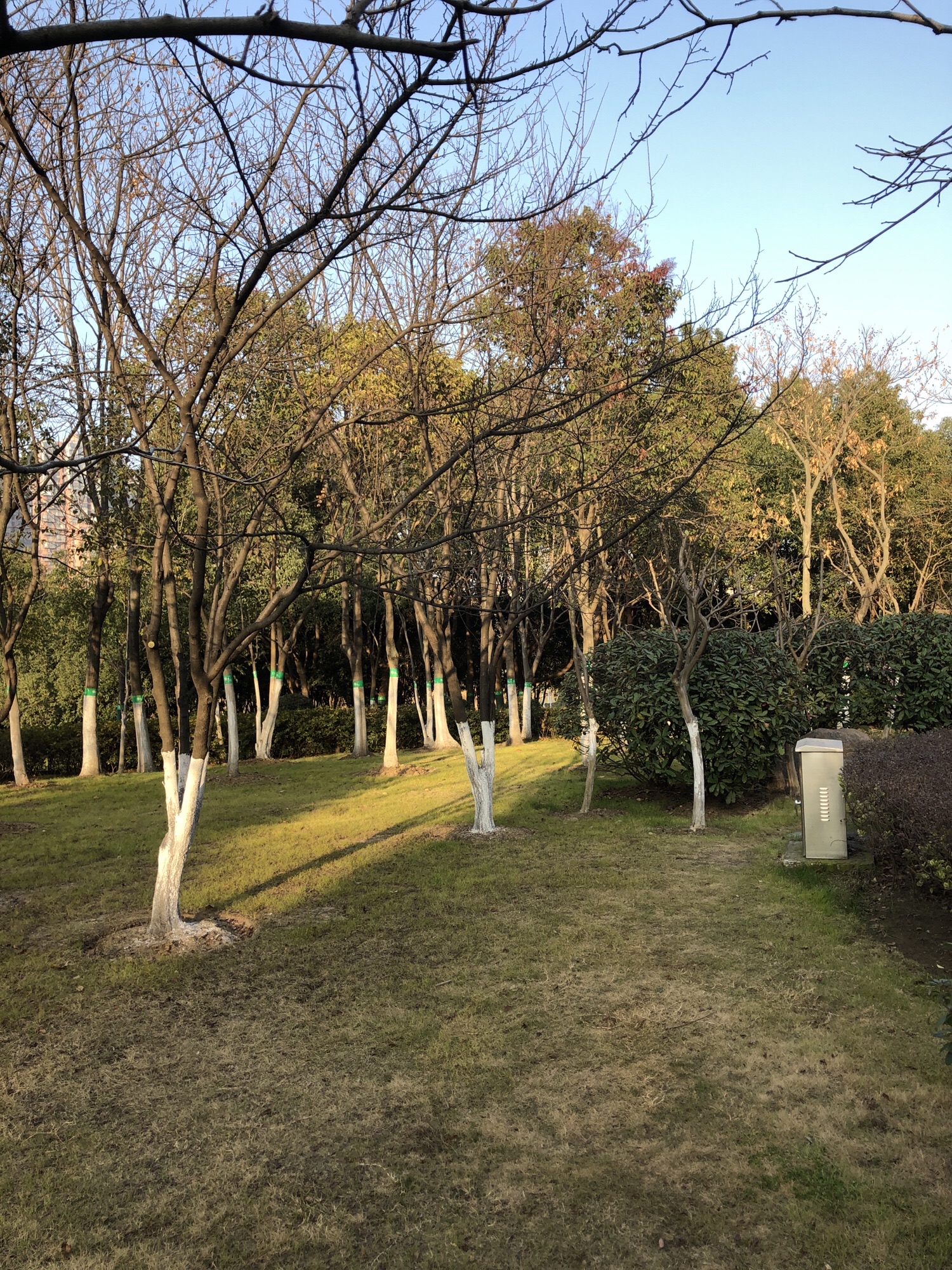 四里河滨水湿地公园旅行图片 2