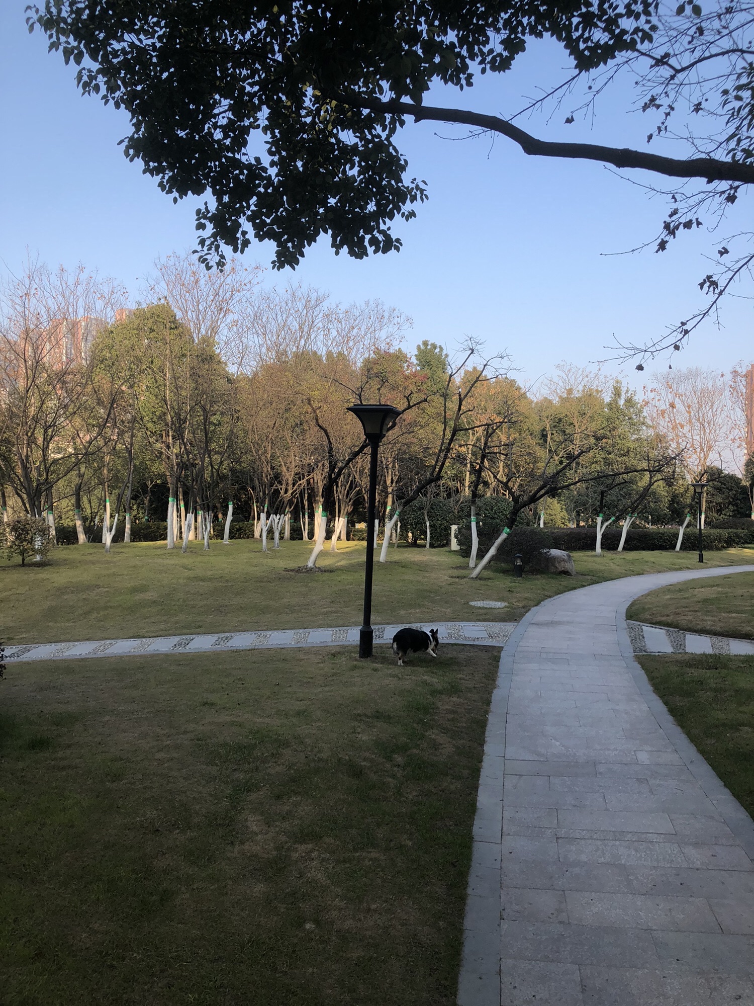 四里河滨水湿地公园旅行图片 2