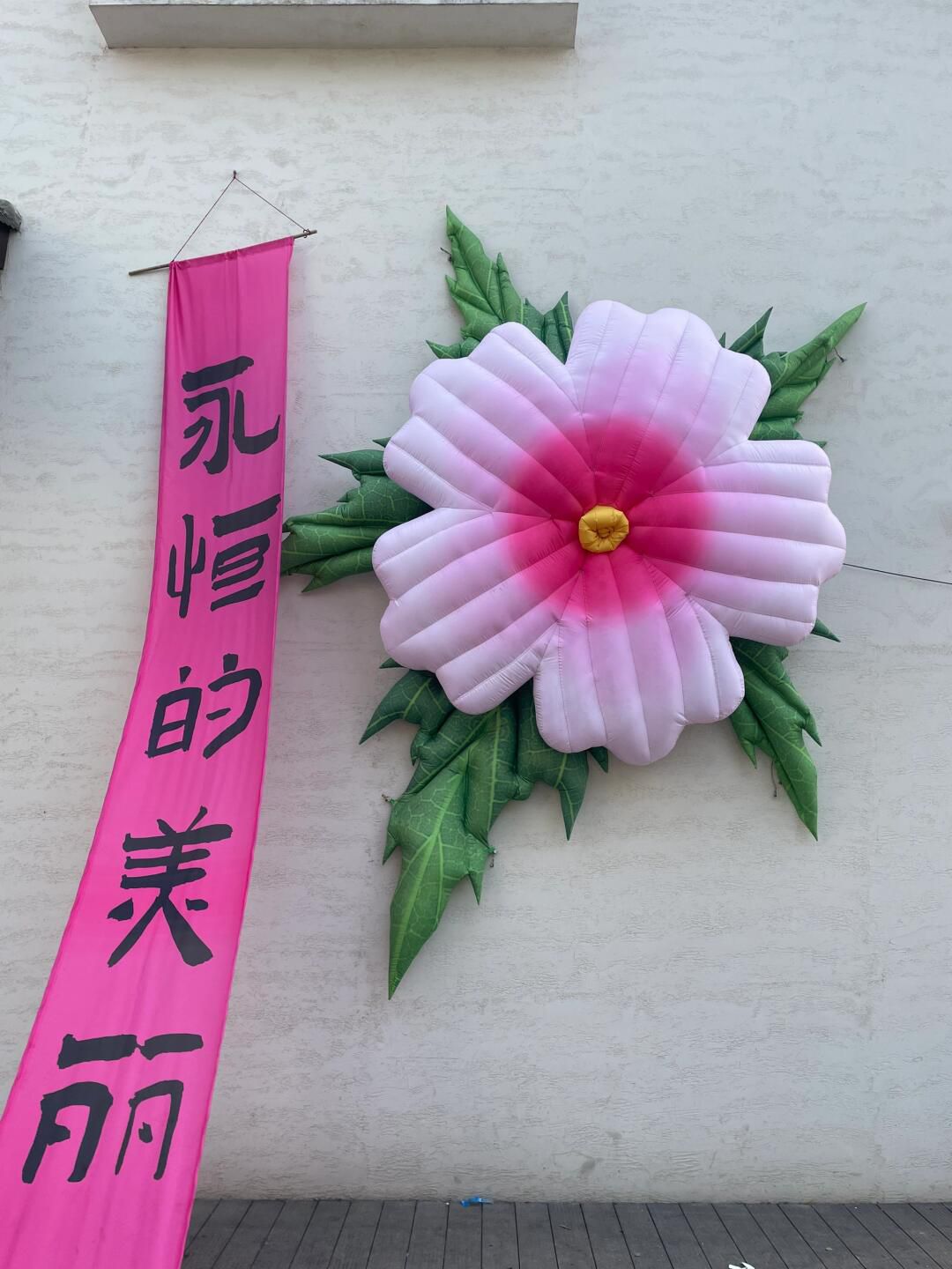 舜山小镇旅行图片 3