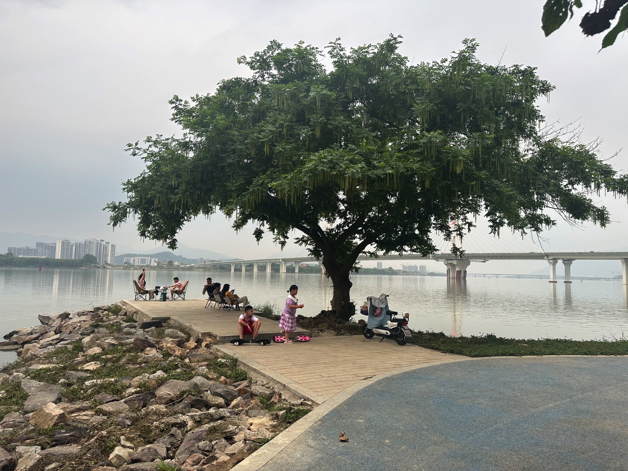 北江南岸公园旅行图片 1