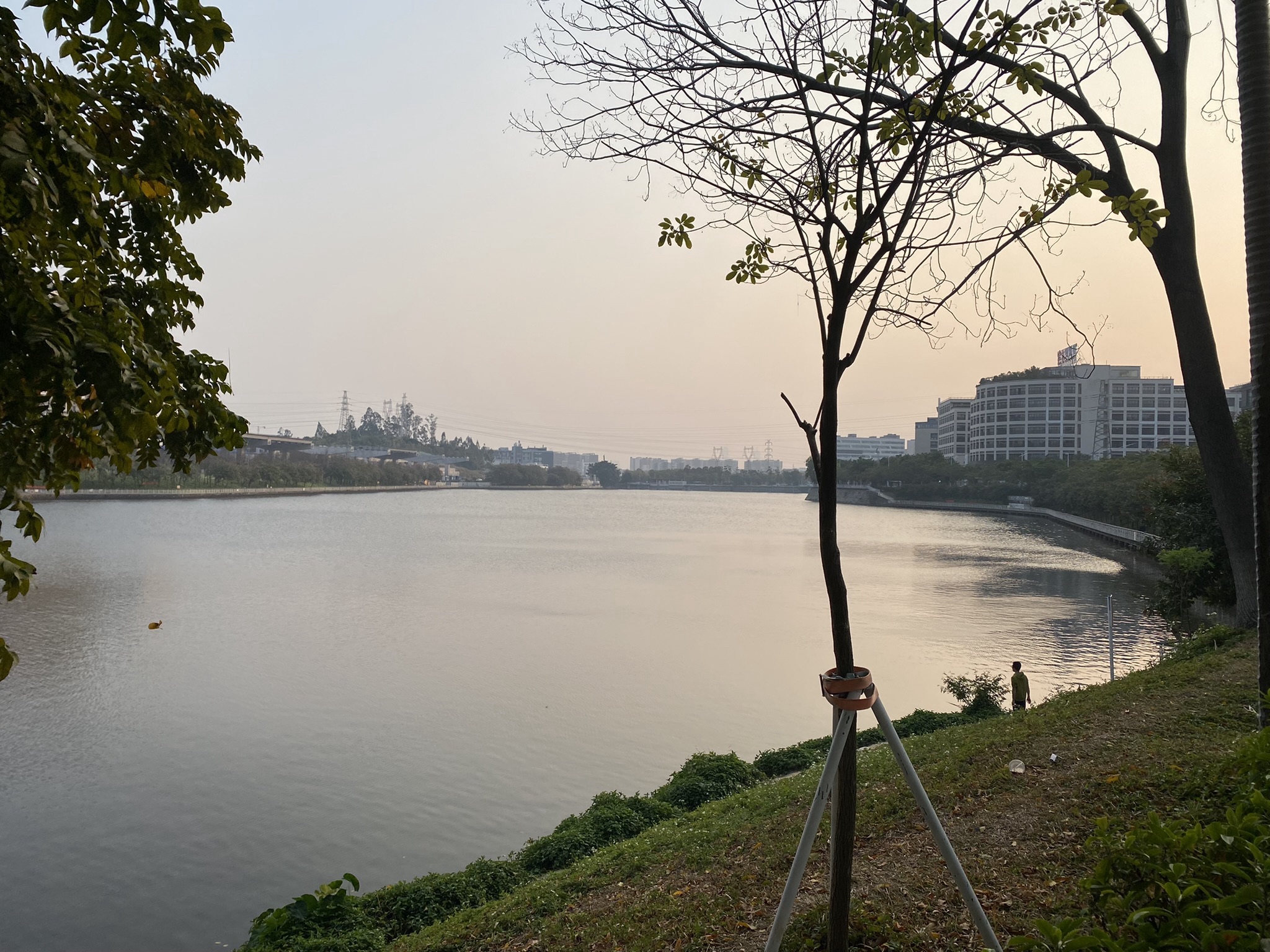 北江南岸公园旅行图片 3