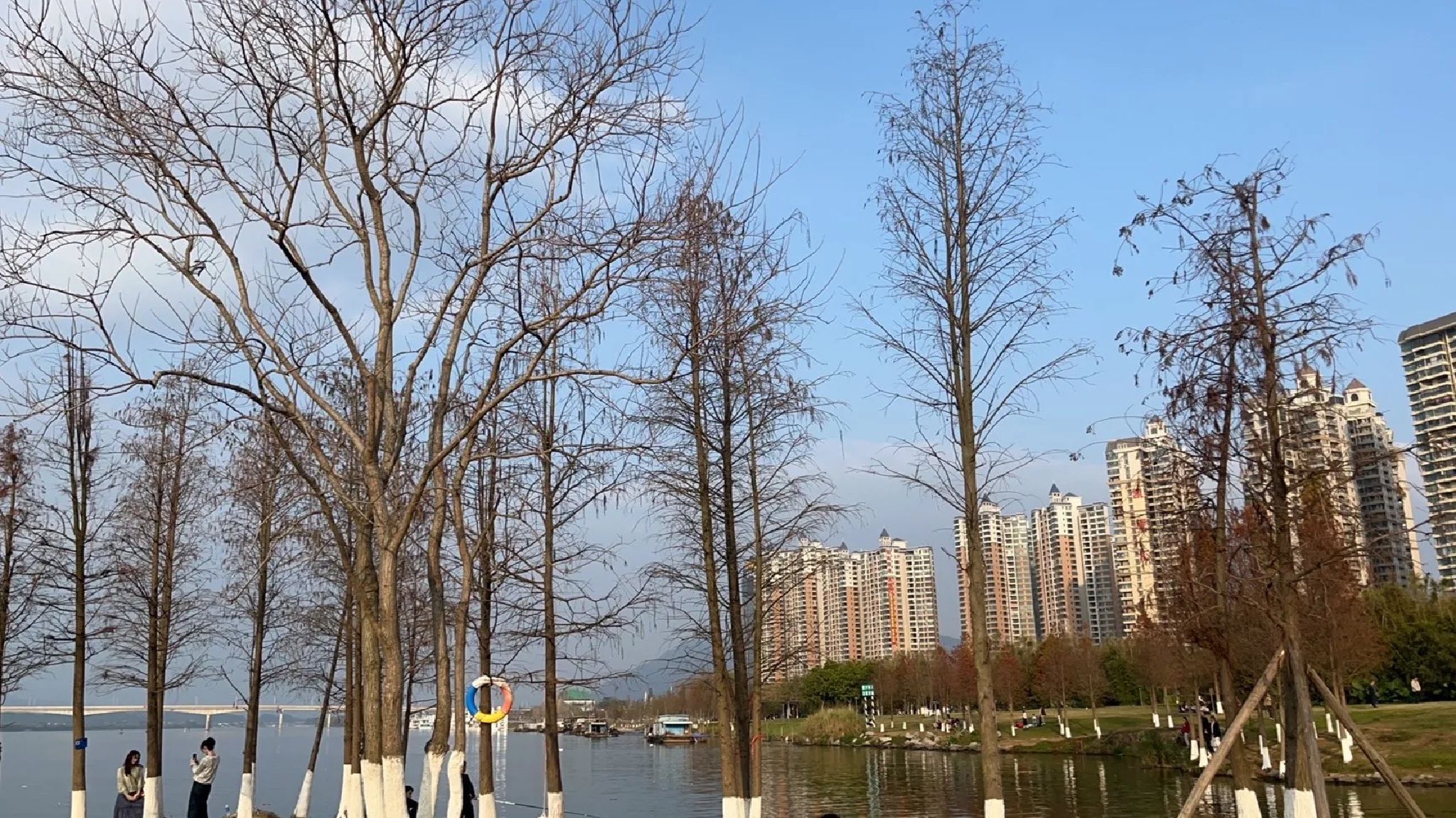 北江南岸公园旅行图片 1