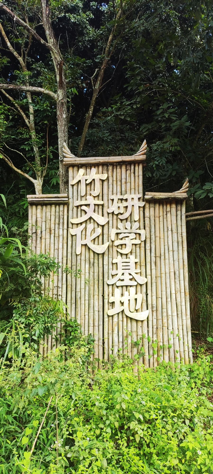 天子山森林公园旅行图片 2
