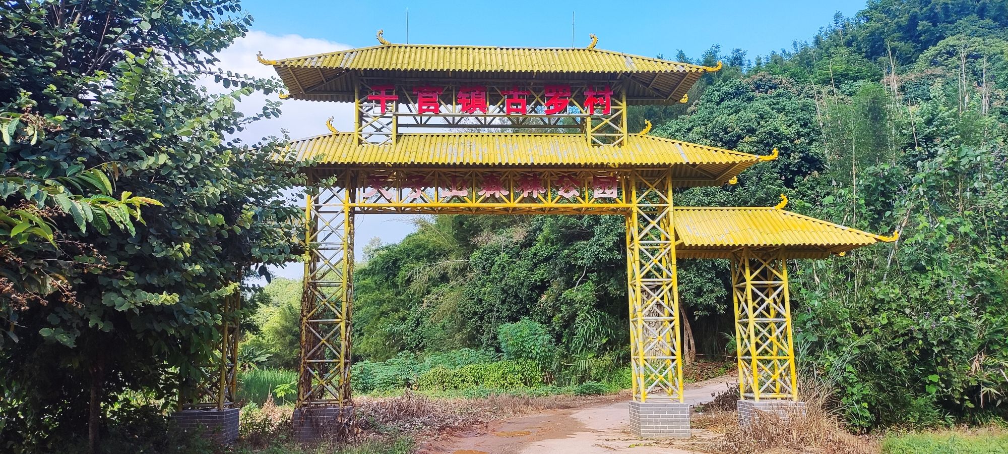 天子山森林公园旅行图片 1