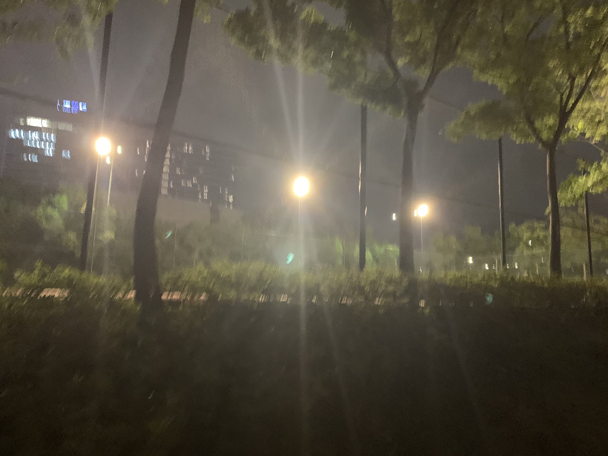 北塘河爱心公园旅行图片 2