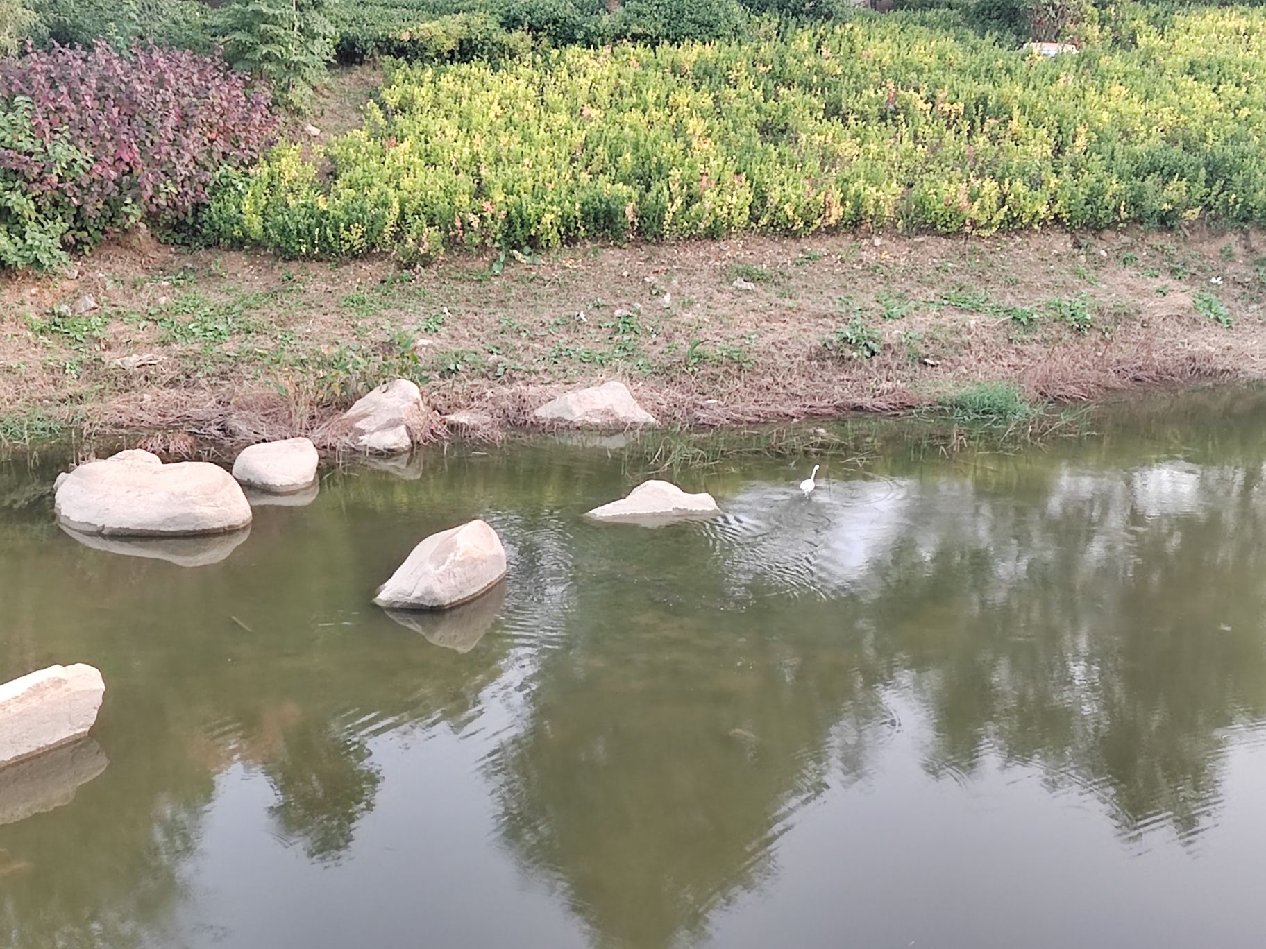 逛荡河绿地公园旅行图片 3